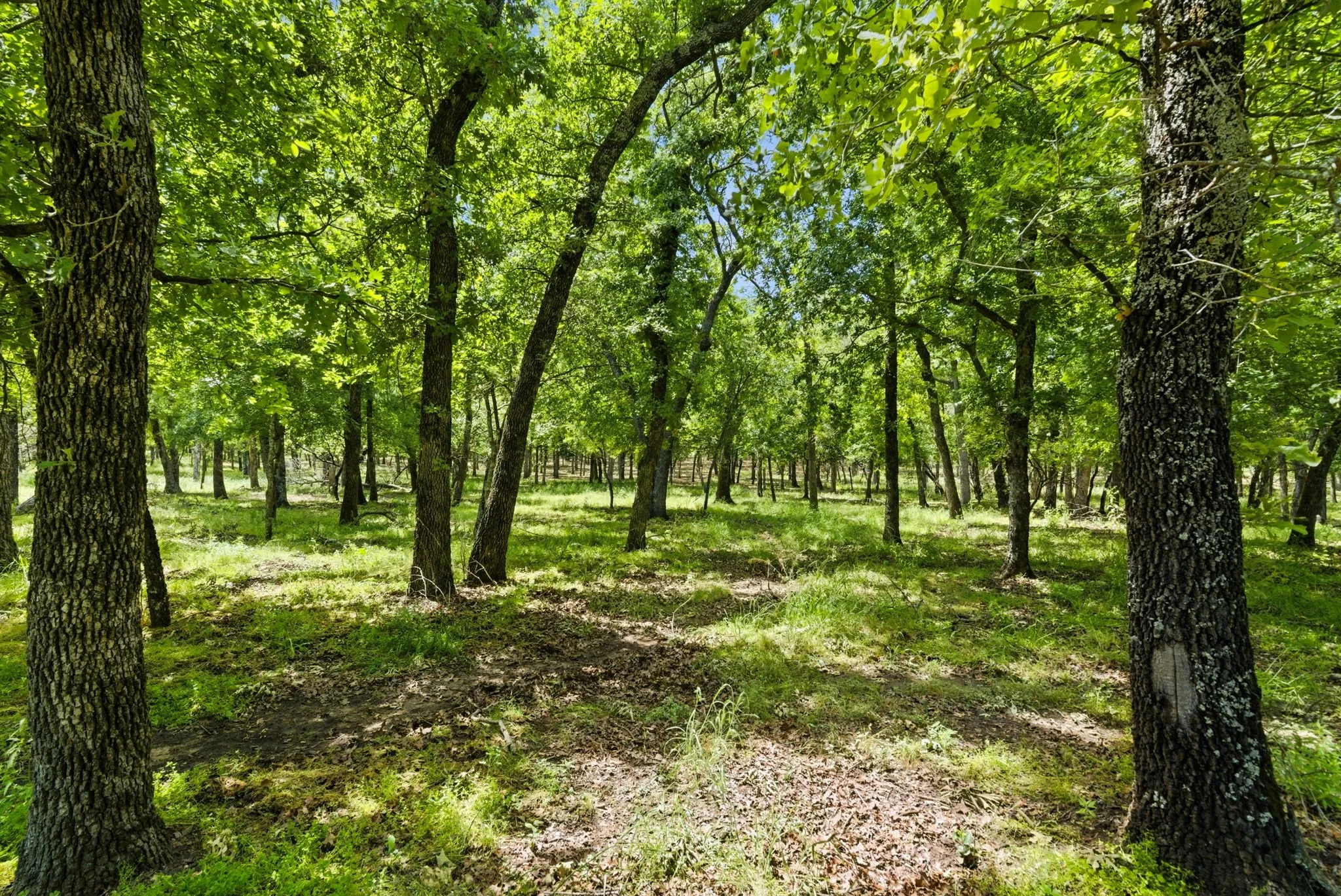 Single Family Residence For Sale in Parker County , 148 Arista Trail, Poolville, Texas 76487, 3 Bedroom, 3 Bathroom, 3 Garage spaces, 2,618 Sqft, built in 2009, Preowned, mls#21259280, Real Estate Agent in Poolville, Homes For Sale in Parker county, Homes For Sale in Poolville, Realtor in Poolville Texas, Real Estate Brokerage Independent Realty Texas, Luminita Cordes Realtor