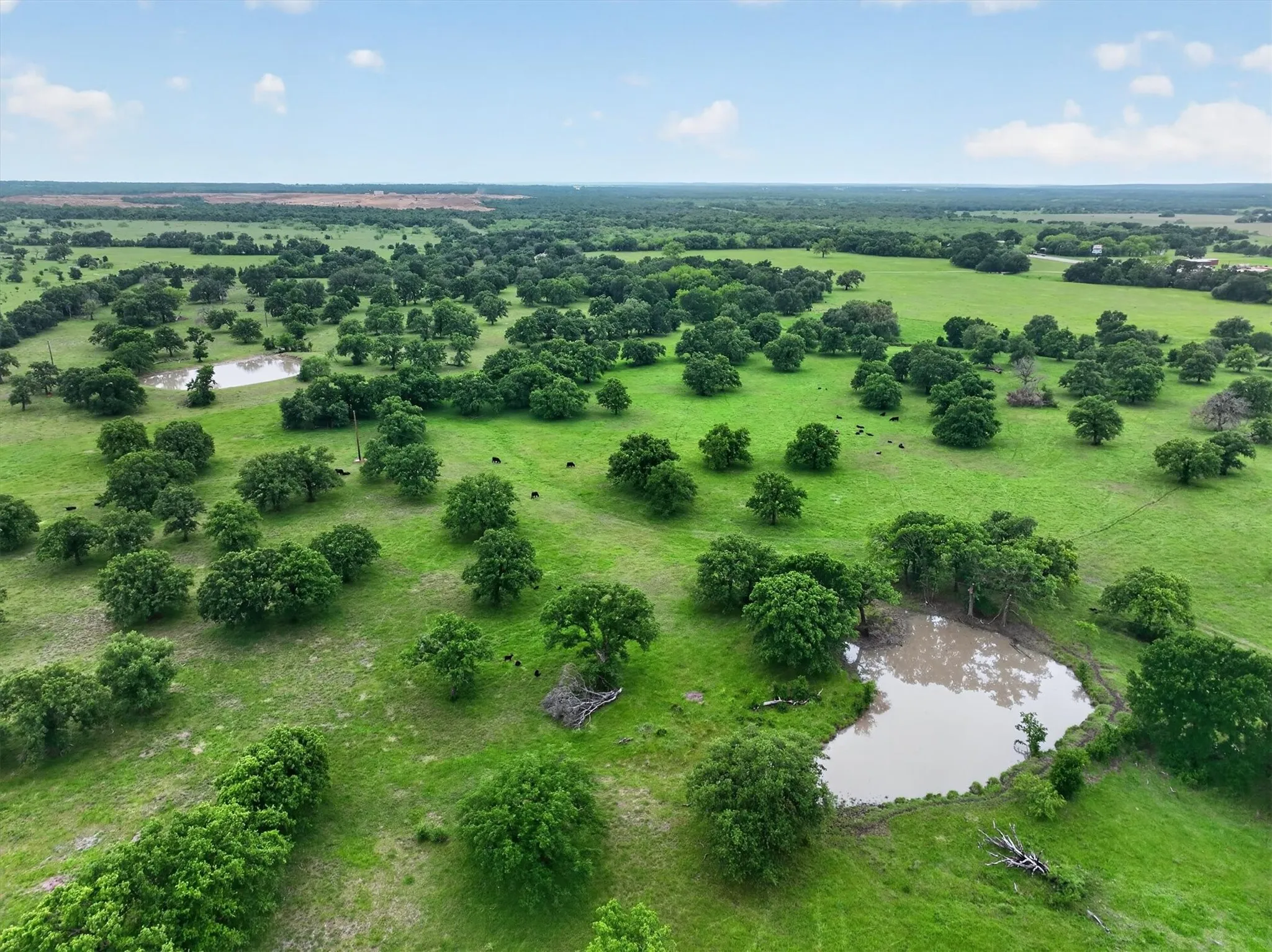 Farm For Sale in Palo Pinto County , 14145 S Highway 281, Santo, Texas 76472, 5 Bedrooms, 5 Bathrooms, 2 Garage spaces, 4,909 Sqft, built in 1999, Preowned, Price $2,999,999, mls#21257496, Real Estate Agent in Santo, Homes For Sale in Palo Pinto county, Homes For Sale in Santo, Realtor in Santo Texas, Real Estate Brokerage Independent Realty Texas, Luminita Cordes Realtor