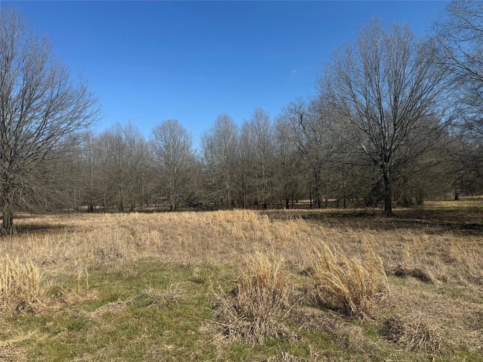 Improved Land For Sale in Lamar County , TBD PR 44005, Blossom, Texas 75416, 0, 0, Garage spaces, 0 Sqft, built in 0, Price $69,000, mls#21260633, Real Estate Agent in Blossom, Homes For Sale in Lamar county, Homes For Sale in Blossom, Realtor in Blossom Texas, Real Estate Brokerage Independent Realty Texas, Luminita Cordes Realtor