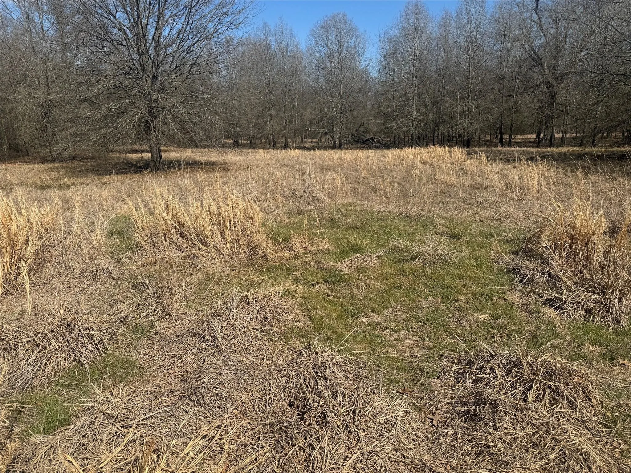 Improved Land For Sale in Lamar County , TBD PR 44005, Blossom, Texas 75416, 0, 0, Garage spaces, 0 Sqft, built in 0, Price $69,000, mls#21260633, Real Estate Agent in Blossom, Homes For Sale in Lamar county, Homes For Sale in Blossom, Realtor in Blossom Texas, Real Estate Brokerage Independent Realty Texas, Luminita Cordes Realtor