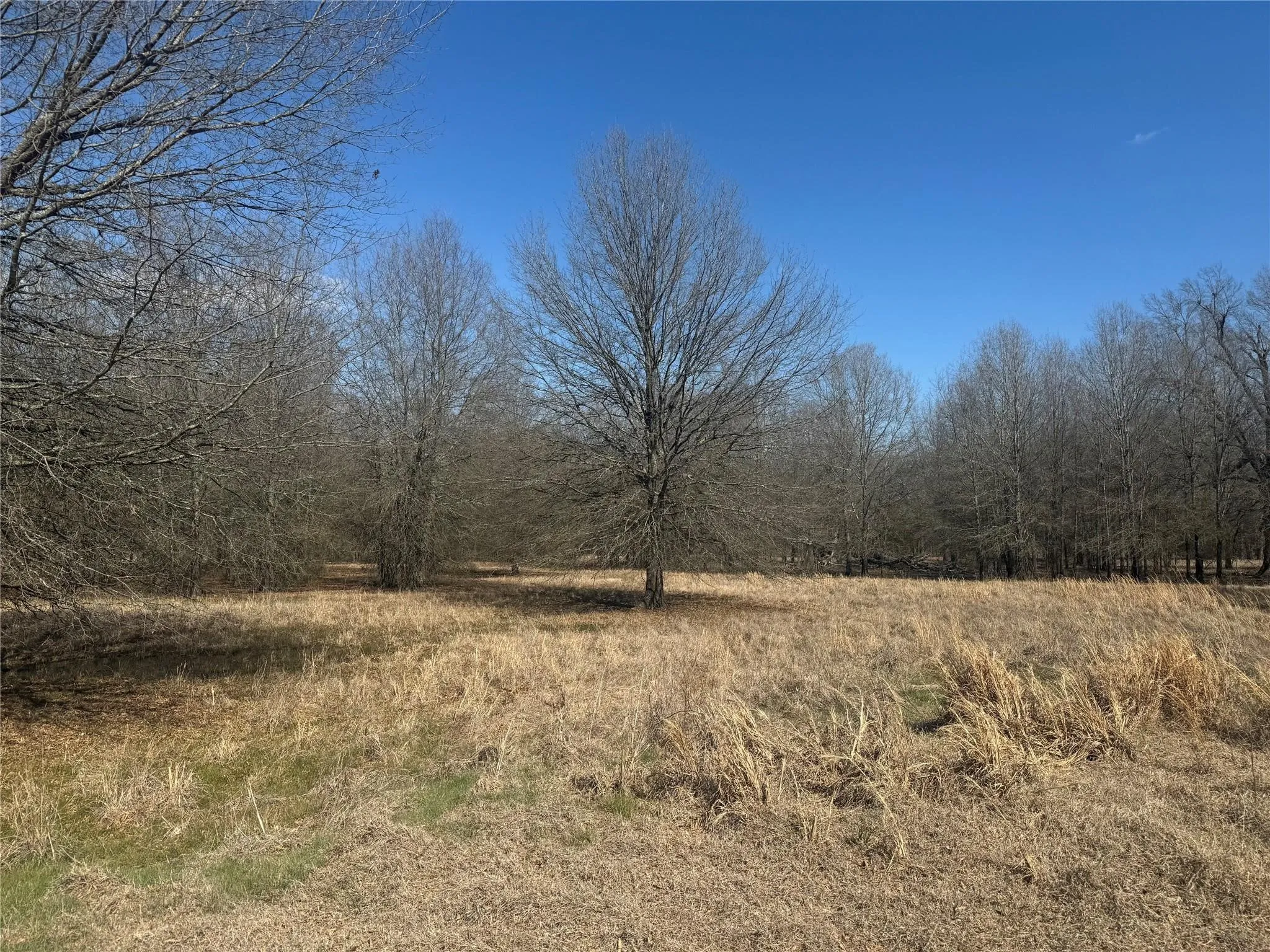 Improved Land For Sale in Lamar County , TBD PR 44005, Blossom, Texas 75416, 0, 0, Garage spaces, 0 Sqft, built in 0, Price $69,000, mls#21260633, Real Estate Agent in Blossom, Homes For Sale in Lamar county, Homes For Sale in Blossom, Realtor in Blossom Texas, Real Estate Brokerage Independent Realty Texas, Luminita Cordes Realtor