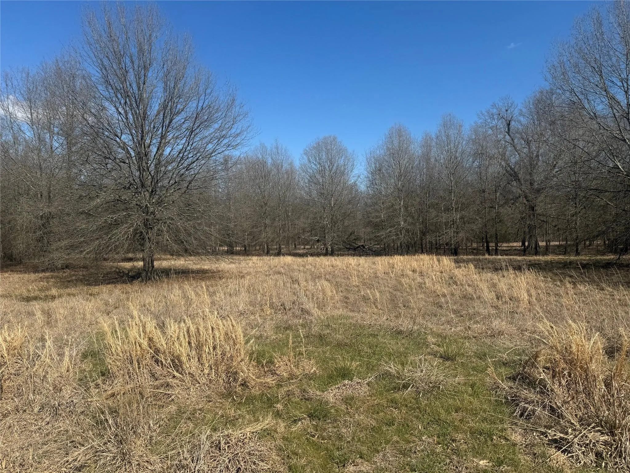 Improved Land For Sale in Lamar County , TBD PR 44005, Blossom, Texas 75416, 0, 0, Garage spaces, 0 Sqft, built in 0, Price $69,000, mls#21260633, Real Estate Agent in Blossom, Homes For Sale in Lamar county, Homes For Sale in Blossom, Realtor in Blossom Texas, Real Estate Brokerage Independent Realty Texas, Luminita Cordes Realtor