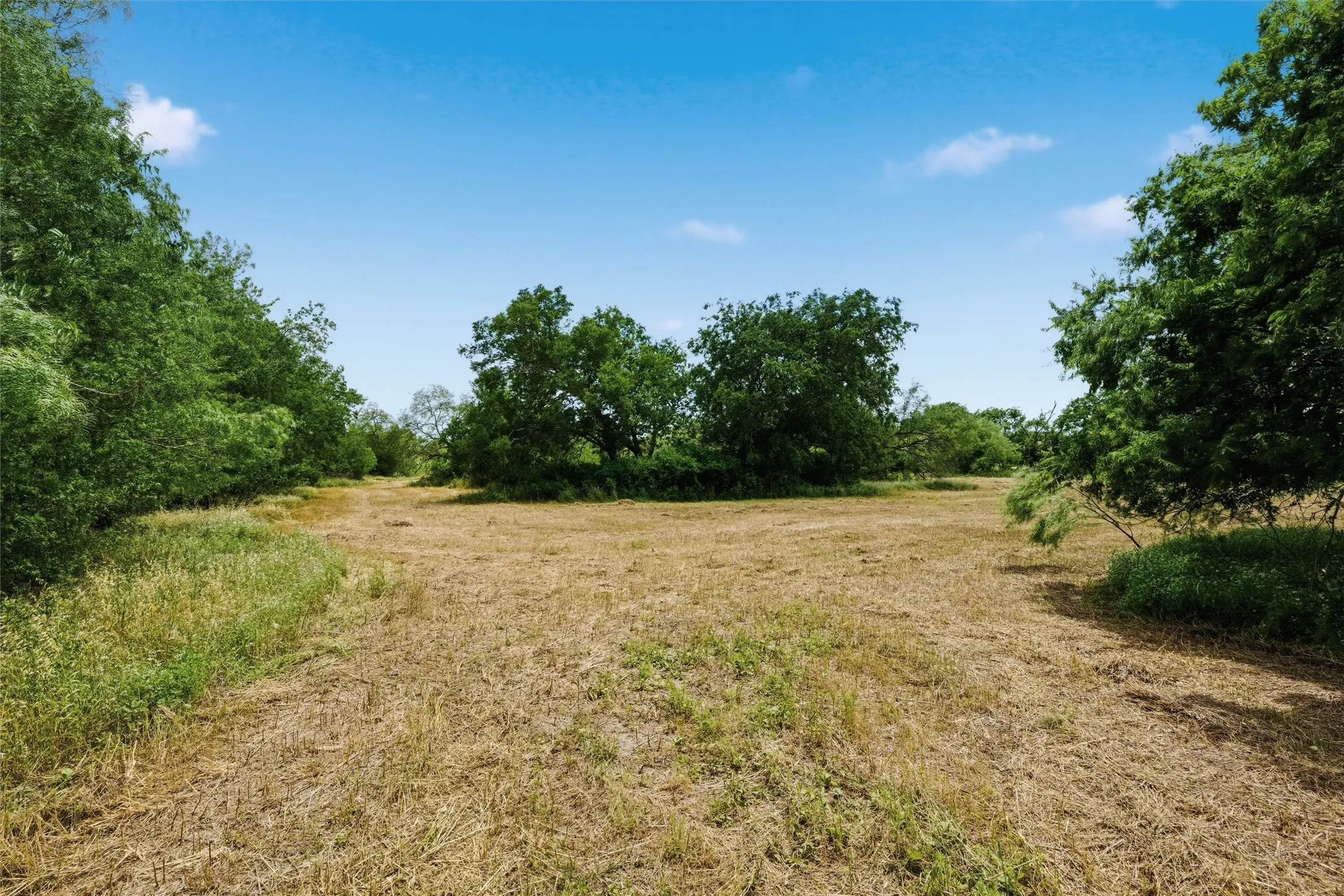 Expansive cleared land featuring mature trees and blue sky
