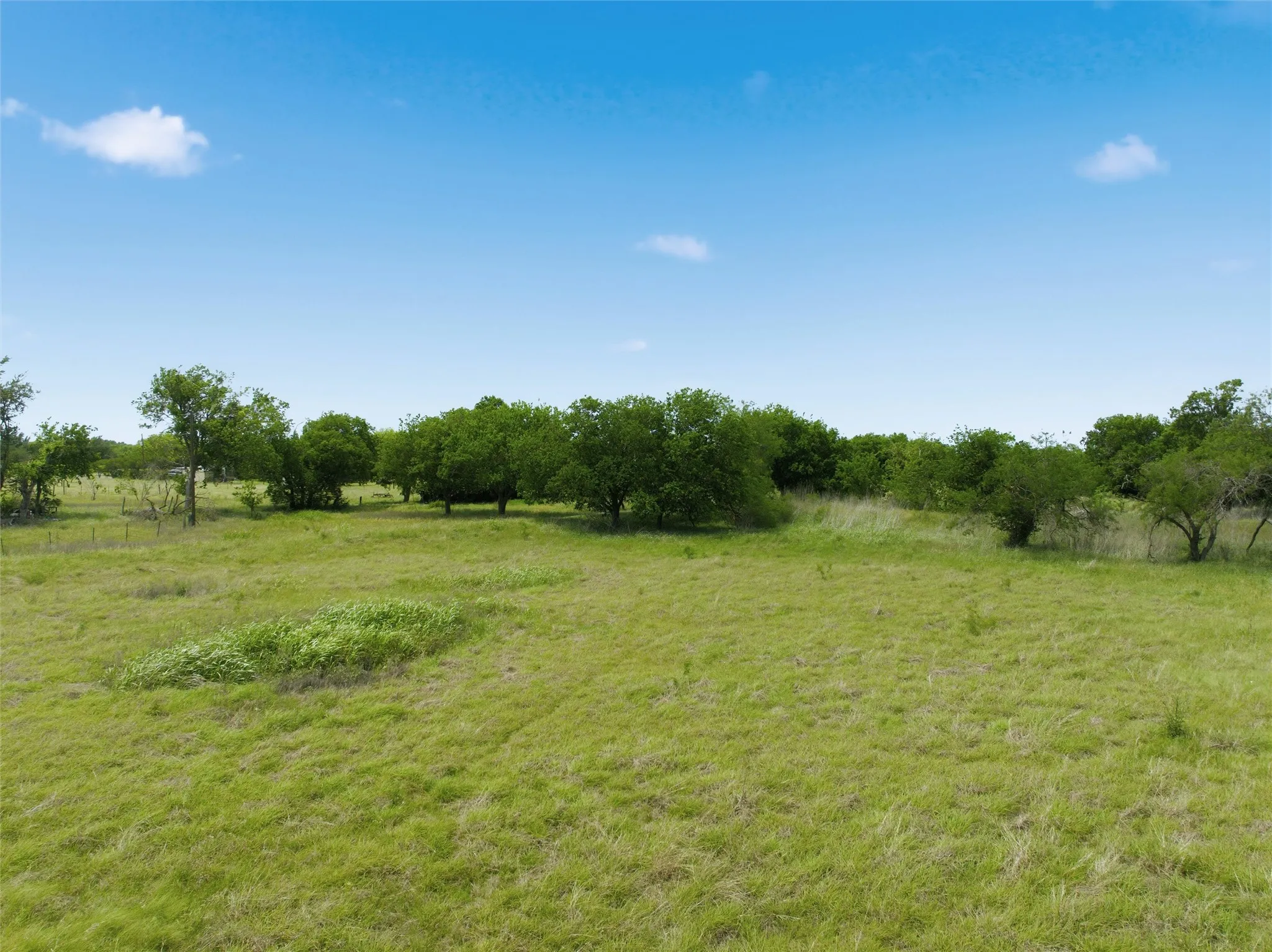Expansive open land featuring diverse vegetation and mature trees