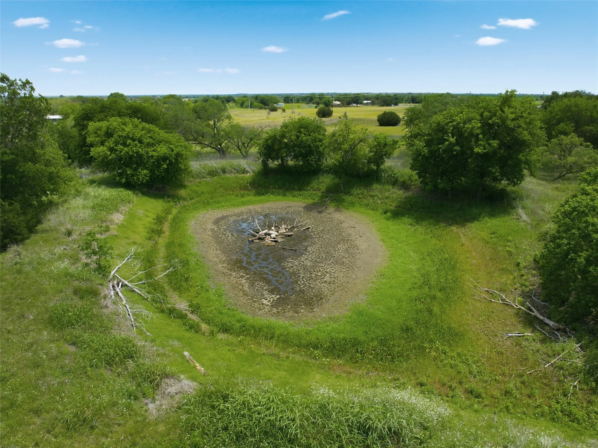 Natural landscape featuring a tranquil pond, surrounded by lush green foliage and mature trees