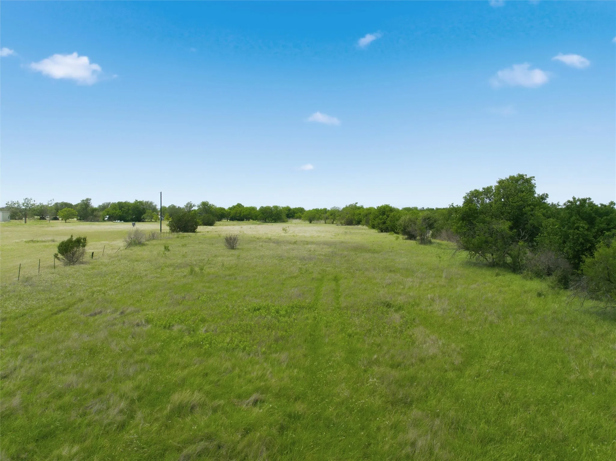 Expansive green acreage featuring mature trees along the perimeter and a clear, open field