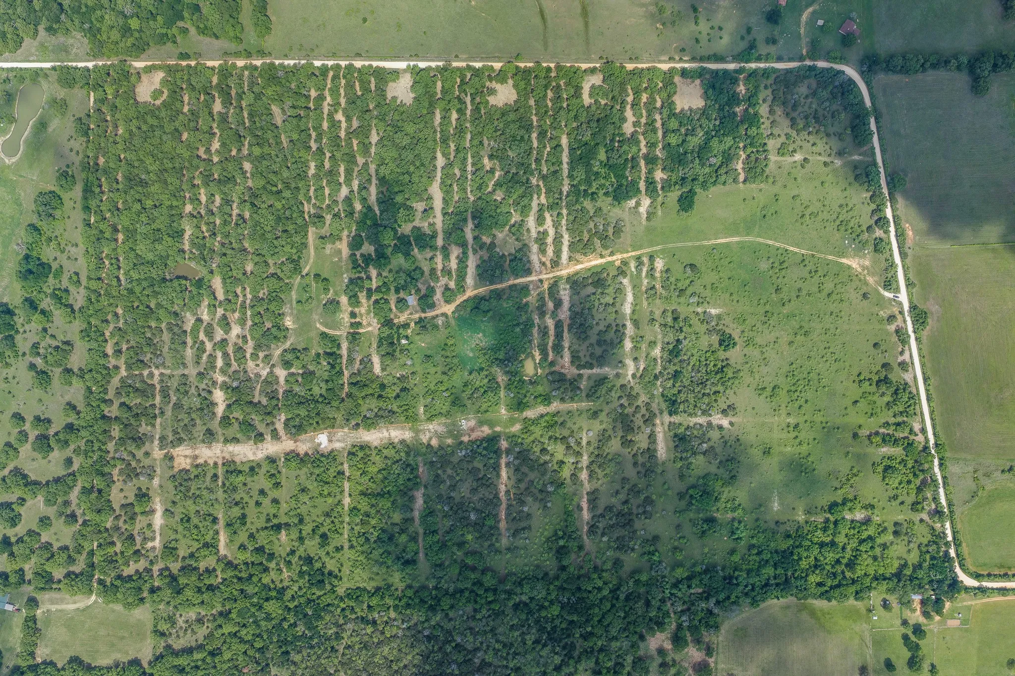 Unimproved Land For Sale in Bosque County , TBD Lot 18 2960, Kopperl, Texas 76652, 0, 0, Garage spaces, 0 Sqft, built in 0, mls#21260867, Real Estate Agent in Kopperl, Homes For Sale in Bosque county, Homes For Sale in Kopperl, Realtor in Kopperl Texas, Real Estate Brokerage Independent Realty Texas, Luminita Cordes Realtor
