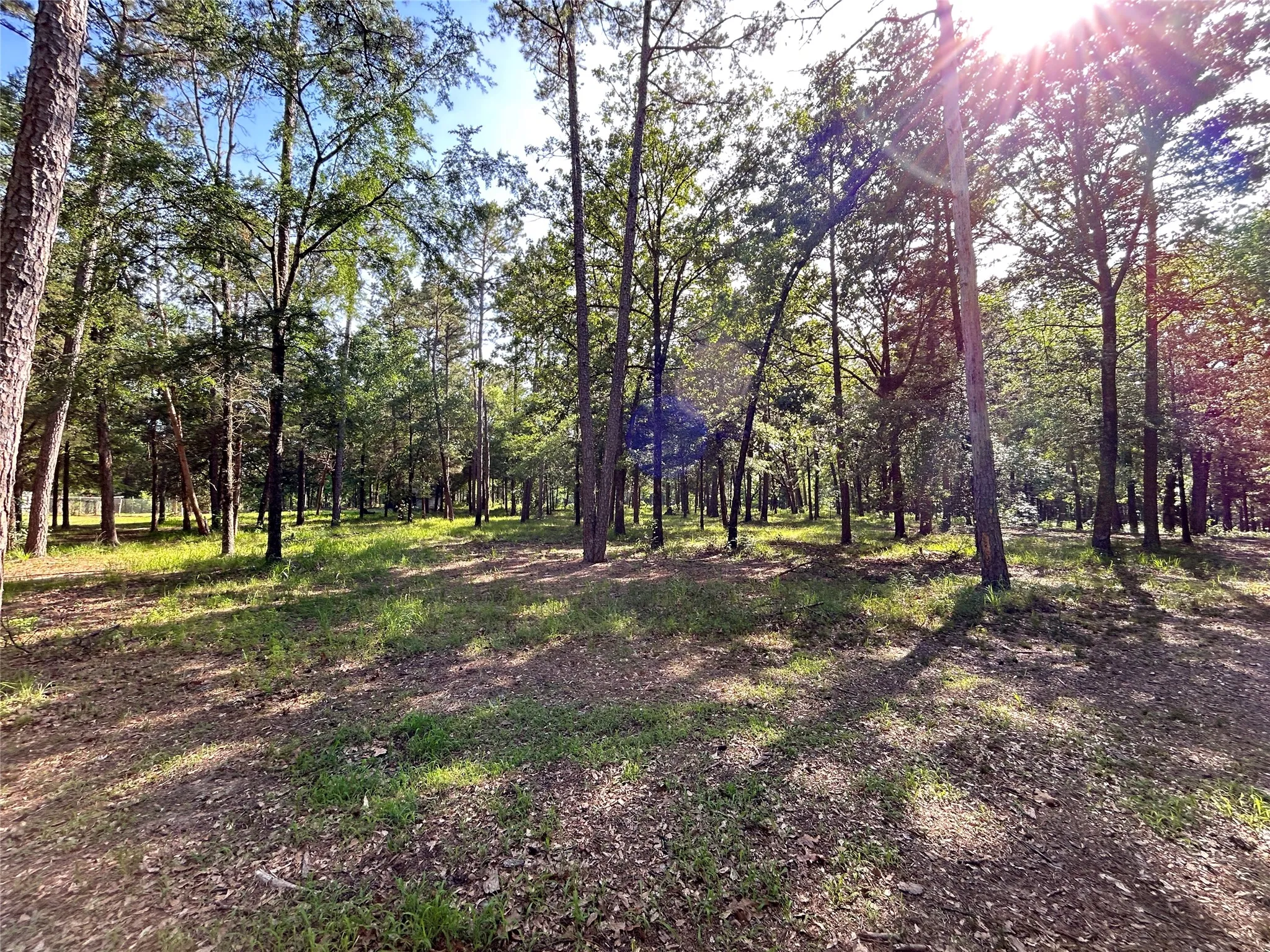 Single Family Residence For Sale in Hopkins County , 3236 Farm Road 3019, Winnsboro, Texas 75494, 3 Bedroom, 2 Bathroom, Garage spaces, 1,700 Sqft, built in 1987, mls#21260679, Real Estate Agent in Winnsboro, Homes For Sale in Hopkins county, Homes For Sale in Winnsboro, Realtor in Winnsboro Texas, Real Estate Brokerage Independent Realty Texas, Luminita Cordes Realtor