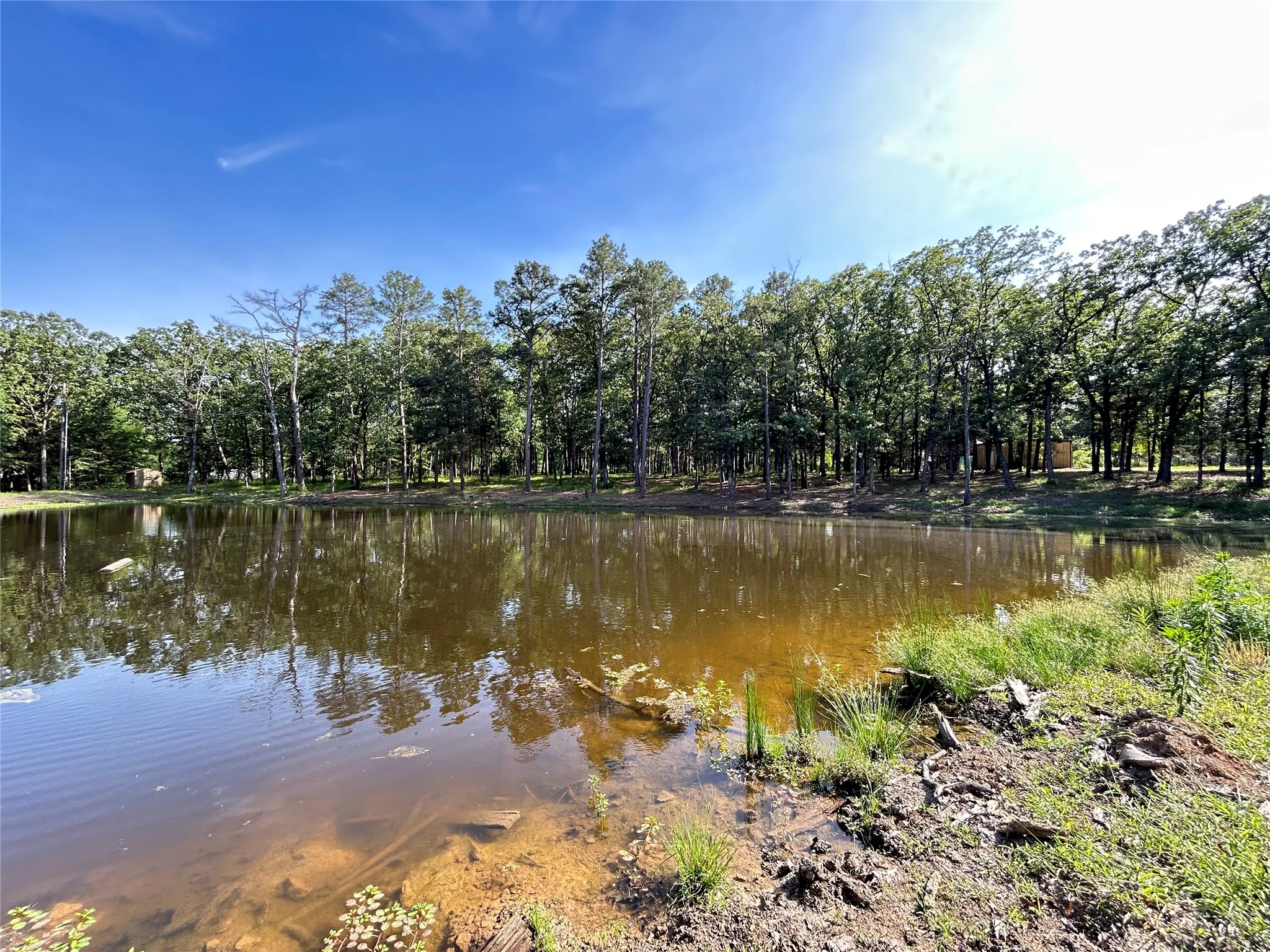Single Family Residence For Sale in Hopkins County , 3236 Farm Road 3019, Winnsboro, Texas 75494, 3 Bedroom, 2 Bathroom, Garage spaces, 1,700 Sqft, built in 1987, mls#21260679, Real Estate Agent in Winnsboro, Homes For Sale in Hopkins county, Homes For Sale in Winnsboro, Realtor in Winnsboro Texas, Real Estate Brokerage Independent Realty Texas, Luminita Cordes Realtor