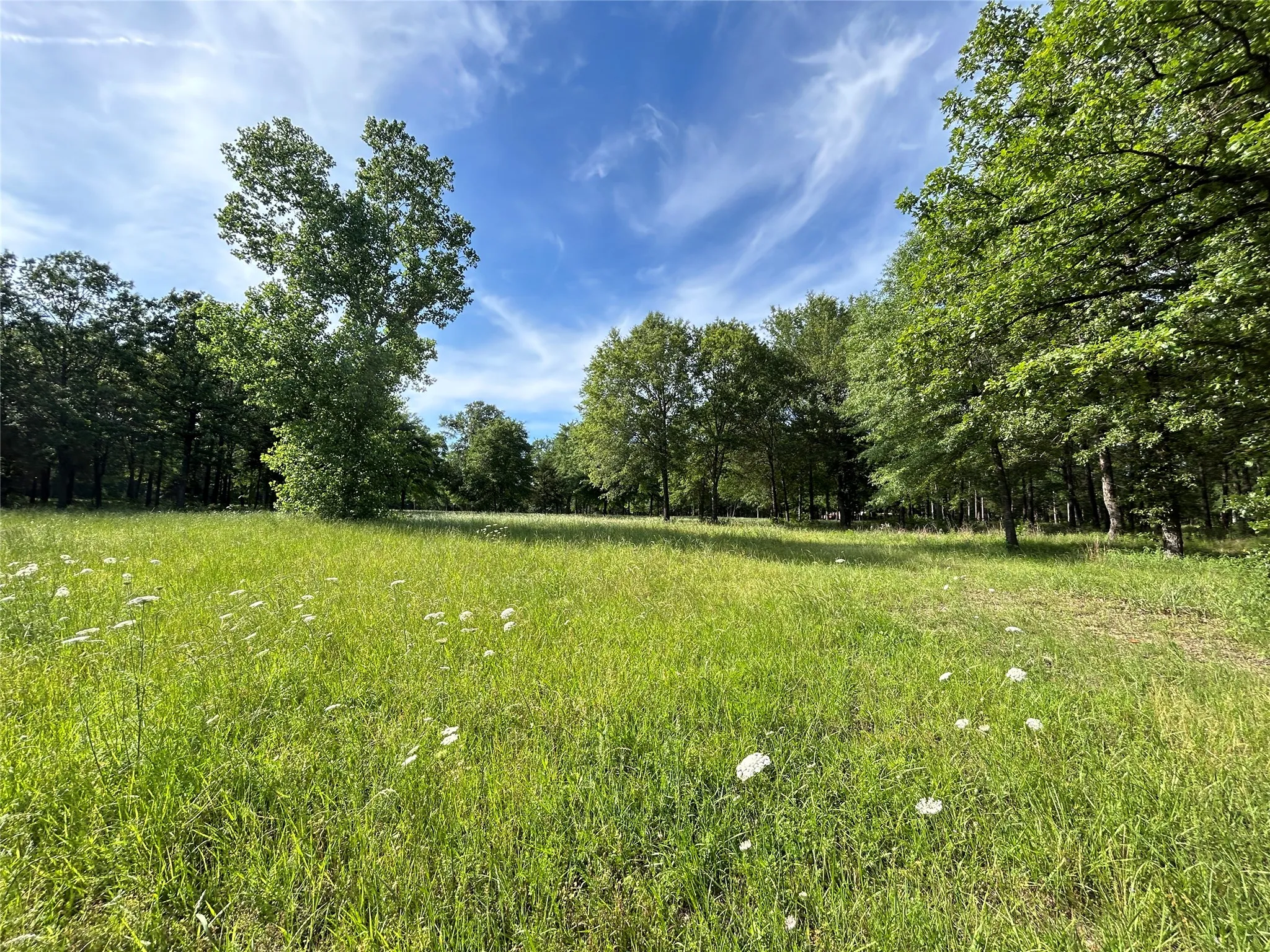 Single Family Residence For Sale in Hopkins County , 3236 Farm Road 3019, Winnsboro, Texas 75494, 3 Bedroom, 2 Bathroom, Garage spaces, 1,700 Sqft, built in 1987, mls#21260679, Real Estate Agent in Winnsboro, Homes For Sale in Hopkins county, Homes For Sale in Winnsboro, Realtor in Winnsboro Texas, Real Estate Brokerage Independent Realty Texas, Luminita Cordes Realtor