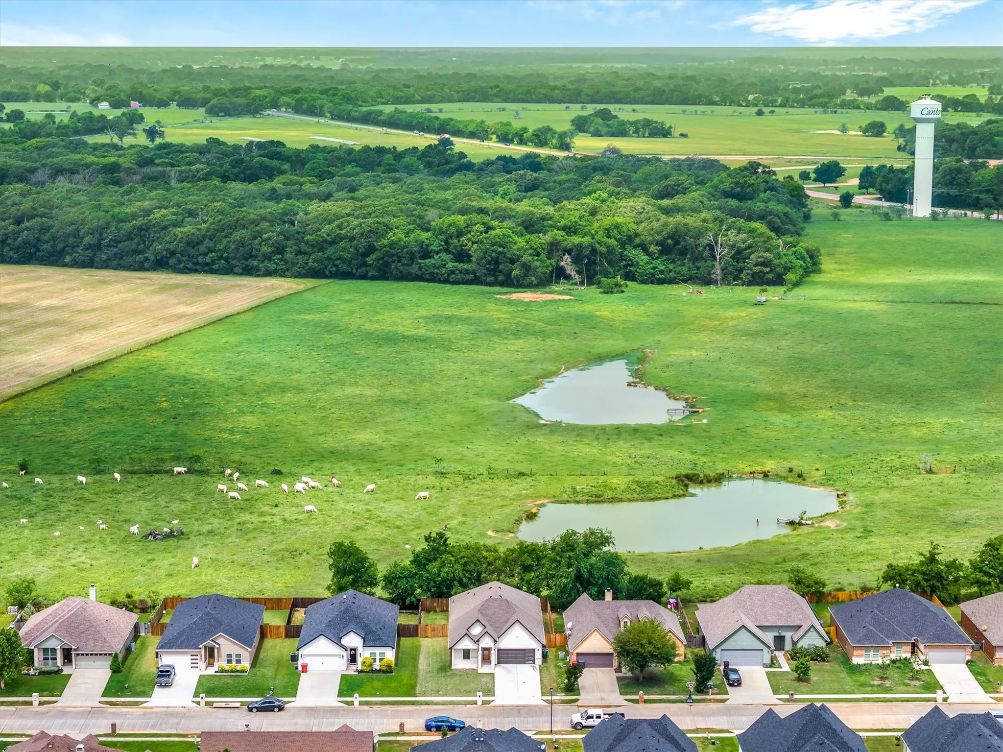 Single Family Residence For Sale in Van Zandt County , 1868 Meadowview, Canton, Texas 75103, 4 Bedroom, 2 Bathroom, 2 Garage spaces, 2,032 Sqft, built in 2024, Preowned, Price $379,400, mls#21260918, Real Estate Agent in Canton, Homes For Sale in Van Zandt county, Homes For Sale in Canton, Realtor in Canton Texas, Real Estate Brokerage Independent Realty Texas, Luminita Cordes Realtor