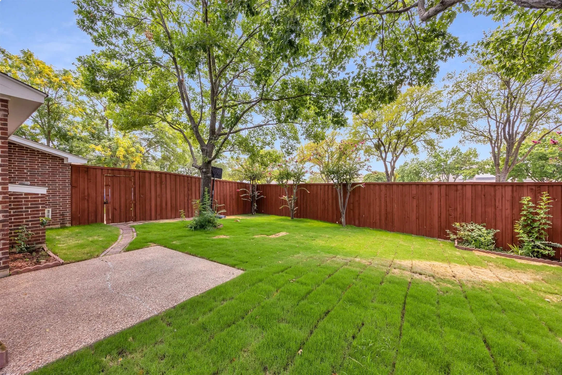 Back Yard New Sod