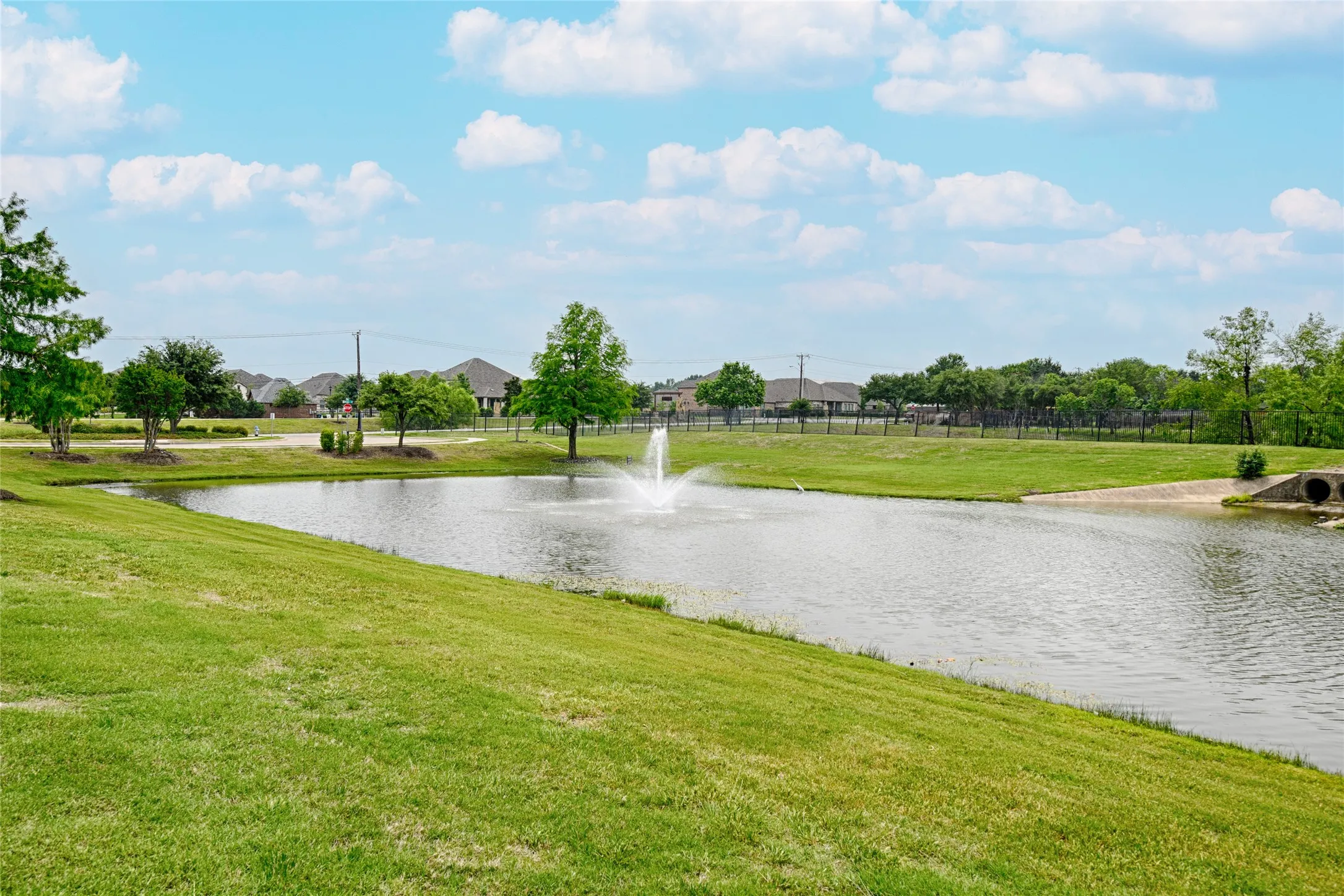 Pond