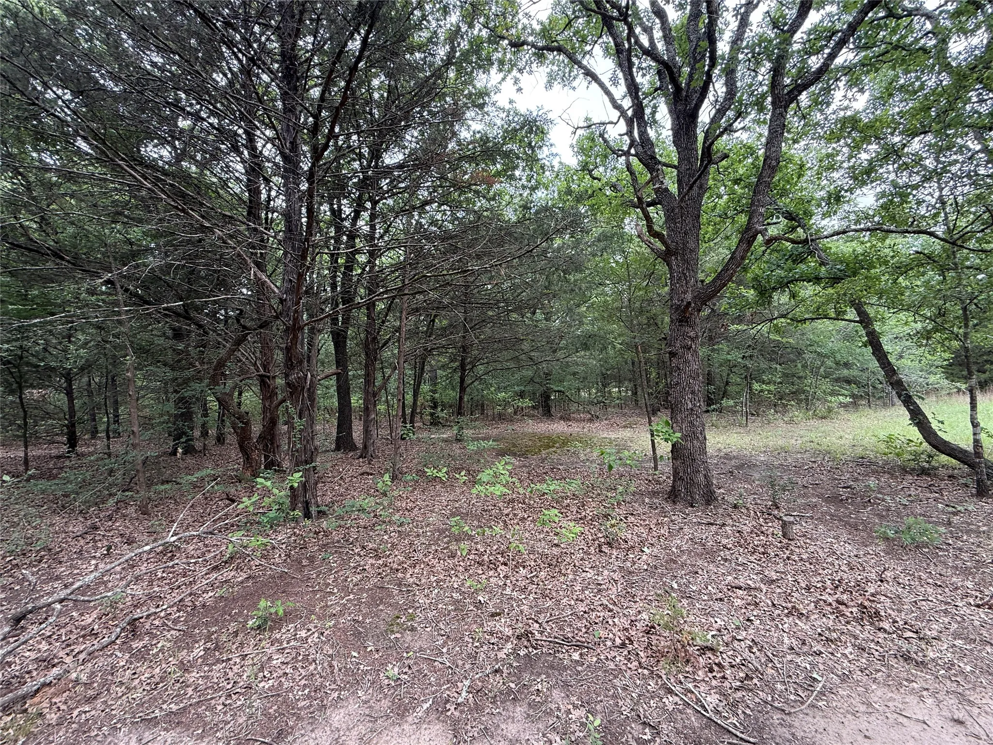 Unimproved Land For Sale in Navarro County , TBD 27 Acres FM 642, Purdon, Texas 76679, 0, 0, Garage spaces, 0 Sqft, built in 0, Price $240,000, mls#21257310, Real Estate Agent in Purdon, Homes For Sale in Navarro county, Homes For Sale in Purdon, Realtor in Purdon Texas, Real Estate Brokerage Independent Realty Texas, Luminita Cordes Realtor
