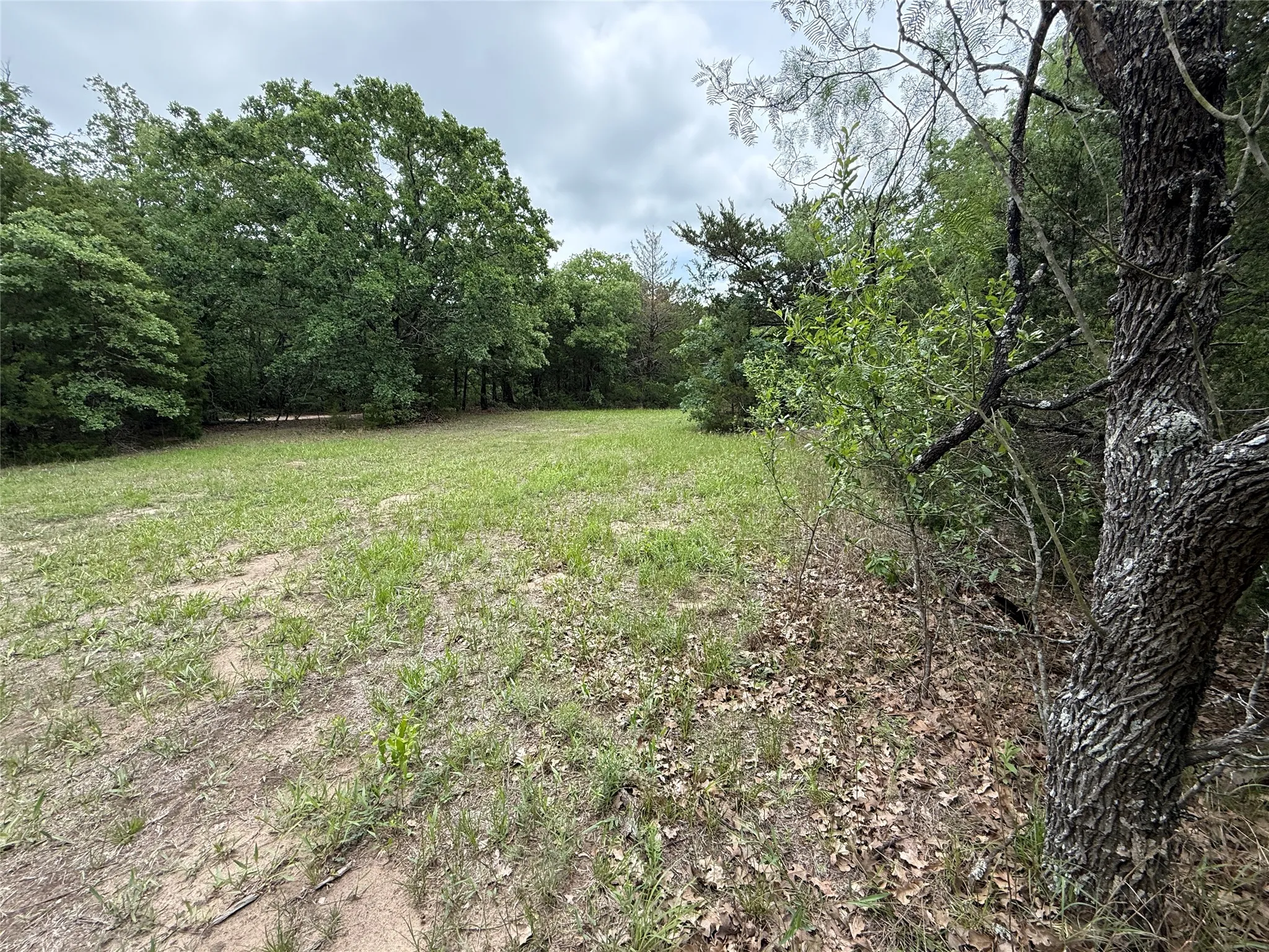 Unimproved Land For Sale in Navarro County , TBD 27 Acres FM 642, Purdon, Texas 76679, 0, 0, Garage spaces, 0 Sqft, built in 0, Price $240,000, mls#21257310, Real Estate Agent in Purdon, Homes For Sale in Navarro county, Homes For Sale in Purdon, Realtor in Purdon Texas, Real Estate Brokerage Independent Realty Texas, Luminita Cordes Realtor