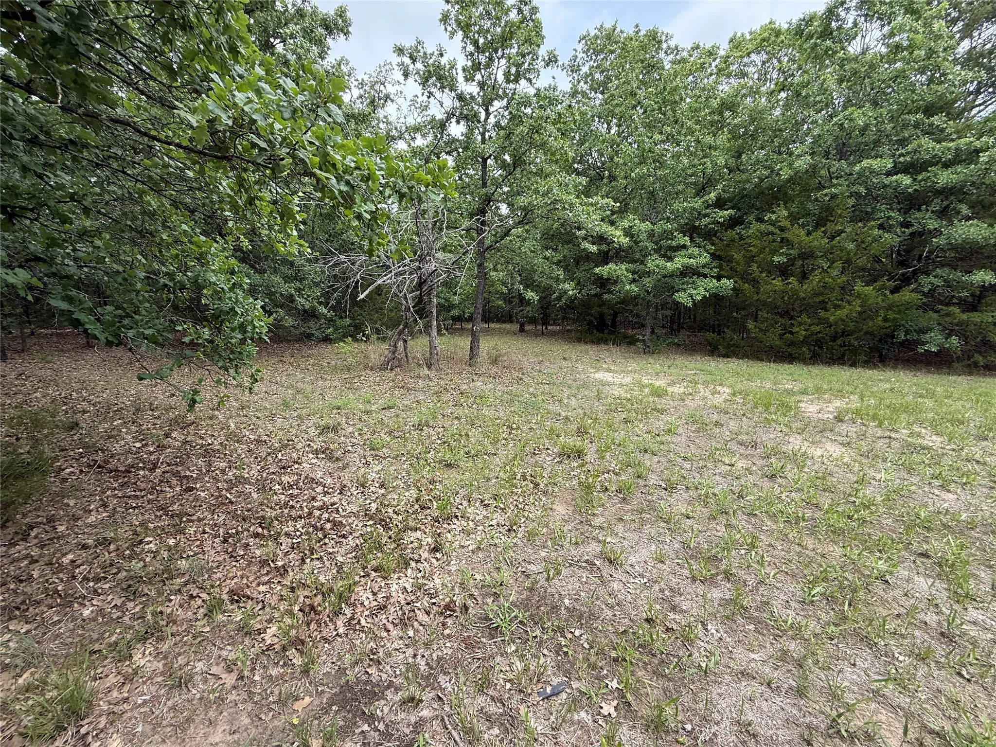Unimproved Land For Sale in Navarro County , TBD 27 Acres FM 642, Purdon, Texas 76679, 0, 0, Garage spaces, 0 Sqft, built in 0, Price $240,000, mls#21257310, Real Estate Agent in Purdon, Homes For Sale in Navarro county, Homes For Sale in Purdon, Realtor in Purdon Texas, Real Estate Brokerage Independent Realty Texas, Luminita Cordes Realtor