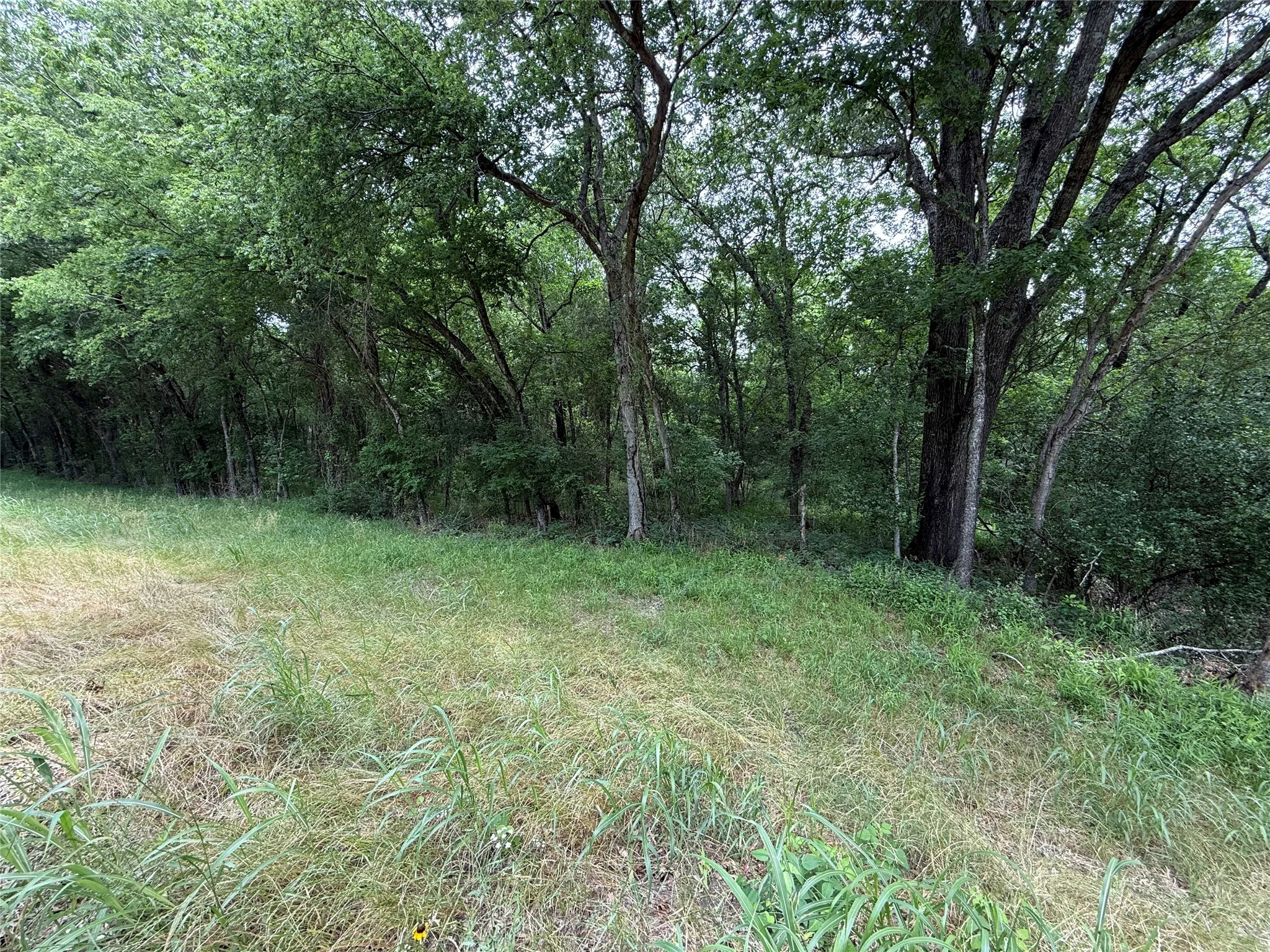 Unimproved Land For Sale in Navarro County , TBD 27 Acres FM 642, Purdon, Texas 76679, 0, 0, Garage spaces, 0 Sqft, built in 0, Price $240,000, mls#21257310, Real Estate Agent in Purdon, Homes For Sale in Navarro county, Homes For Sale in Purdon, Realtor in Purdon Texas, Real Estate Brokerage Independent Realty Texas, Luminita Cordes Realtor