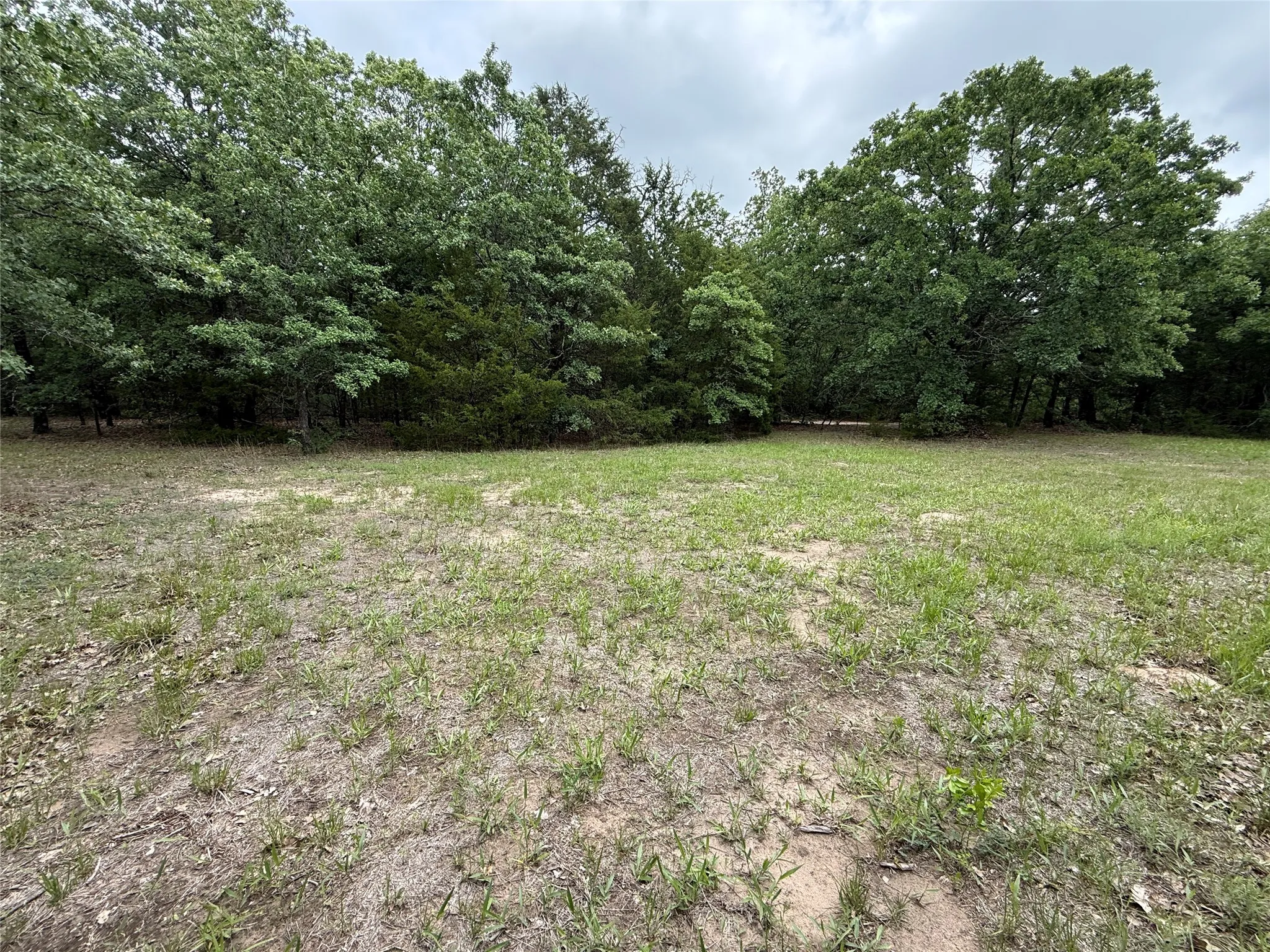 Unimproved Land For Sale in Navarro County , TBD 27 Acres FM 642, Purdon, Texas 76679, 0, 0, Garage spaces, 0 Sqft, built in 0, Price $240,000, mls#21257310, Real Estate Agent in Purdon, Homes For Sale in Navarro county, Homes For Sale in Purdon, Realtor in Purdon Texas, Real Estate Brokerage Independent Realty Texas, Luminita Cordes Realtor