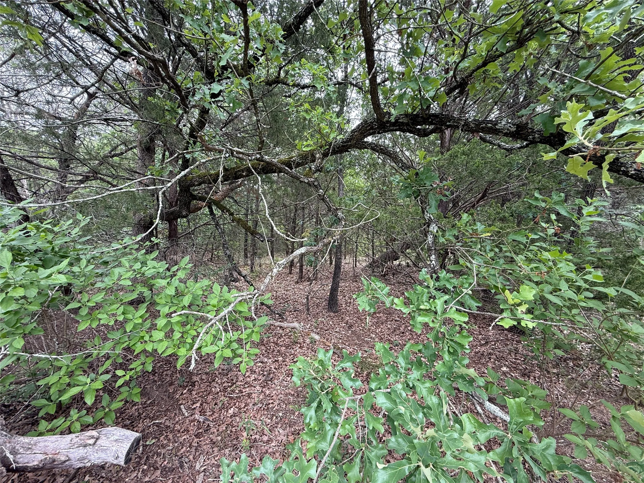 Unimproved Land For Sale in Navarro County , TBD 27 Acres FM 642, Purdon, Texas 76679, 0, 0, Garage spaces, 0 Sqft, built in 0, Price $240,000, mls#21257310, Real Estate Agent in Purdon, Homes For Sale in Navarro county, Homes For Sale in Purdon, Realtor in Purdon Texas, Real Estate Brokerage Independent Realty Texas, Luminita Cordes Realtor