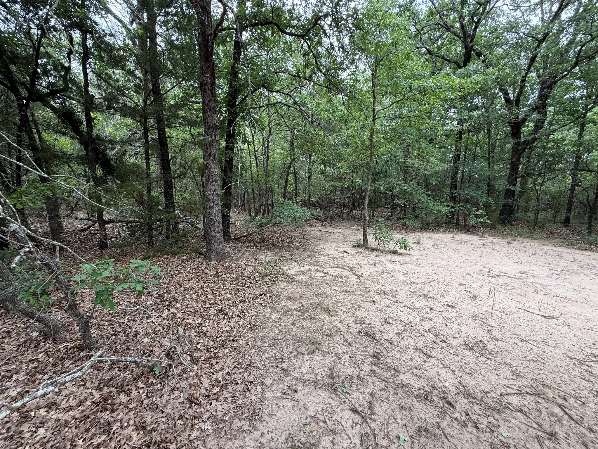 Unimproved Land For Sale in Navarro County , TBD 27 Acres FM 642, Purdon, Texas 76679, 0, 0, Garage spaces, 0 Sqft, built in 0, Price $240,000, mls#21257310, Real Estate Agent in Purdon, Homes For Sale in Navarro county, Homes For Sale in Purdon, Realtor in Purdon Texas, Real Estate Brokerage Independent Realty Texas, Luminita Cordes Realtor