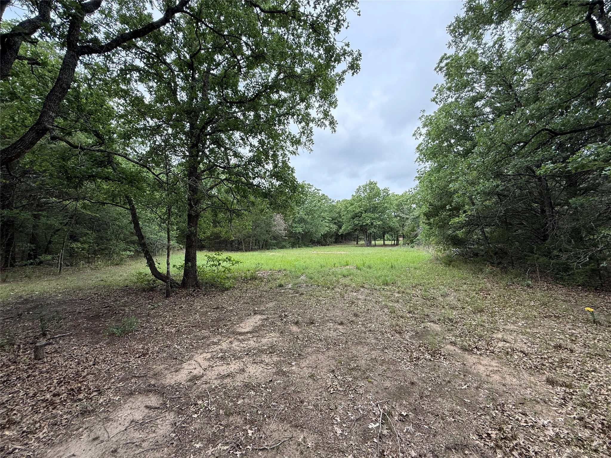 Unimproved Land For Sale in Navarro County , TBD 27 Acres FM 642, Purdon, Texas 76679, 0, 0, Garage spaces, 0 Sqft, built in 0, Price $240,000, mls#21257310, Real Estate Agent in Purdon, Homes For Sale in Navarro county, Homes For Sale in Purdon, Realtor in Purdon Texas, Real Estate Brokerage Independent Realty Texas, Luminita Cordes Realtor