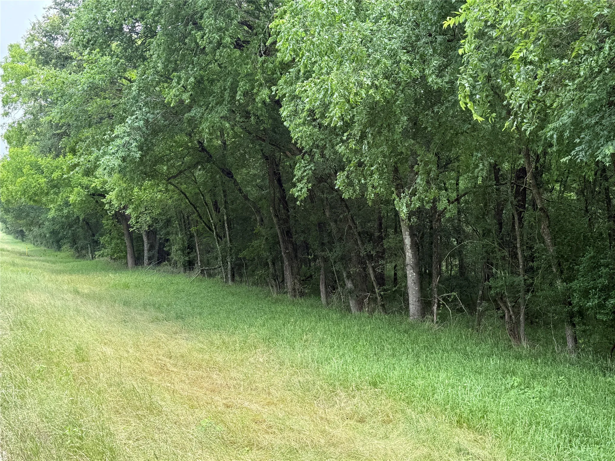 Unimproved Land For Sale in Navarro County , TBD 27 Acres FM 642, Purdon, Texas 76679, 0, 0, Garage spaces, 0 Sqft, built in 0, Price $240,000, mls#21257310, Real Estate Agent in Purdon, Homes For Sale in Navarro county, Homes For Sale in Purdon, Realtor in Purdon Texas, Real Estate Brokerage Independent Realty Texas, Luminita Cordes Realtor