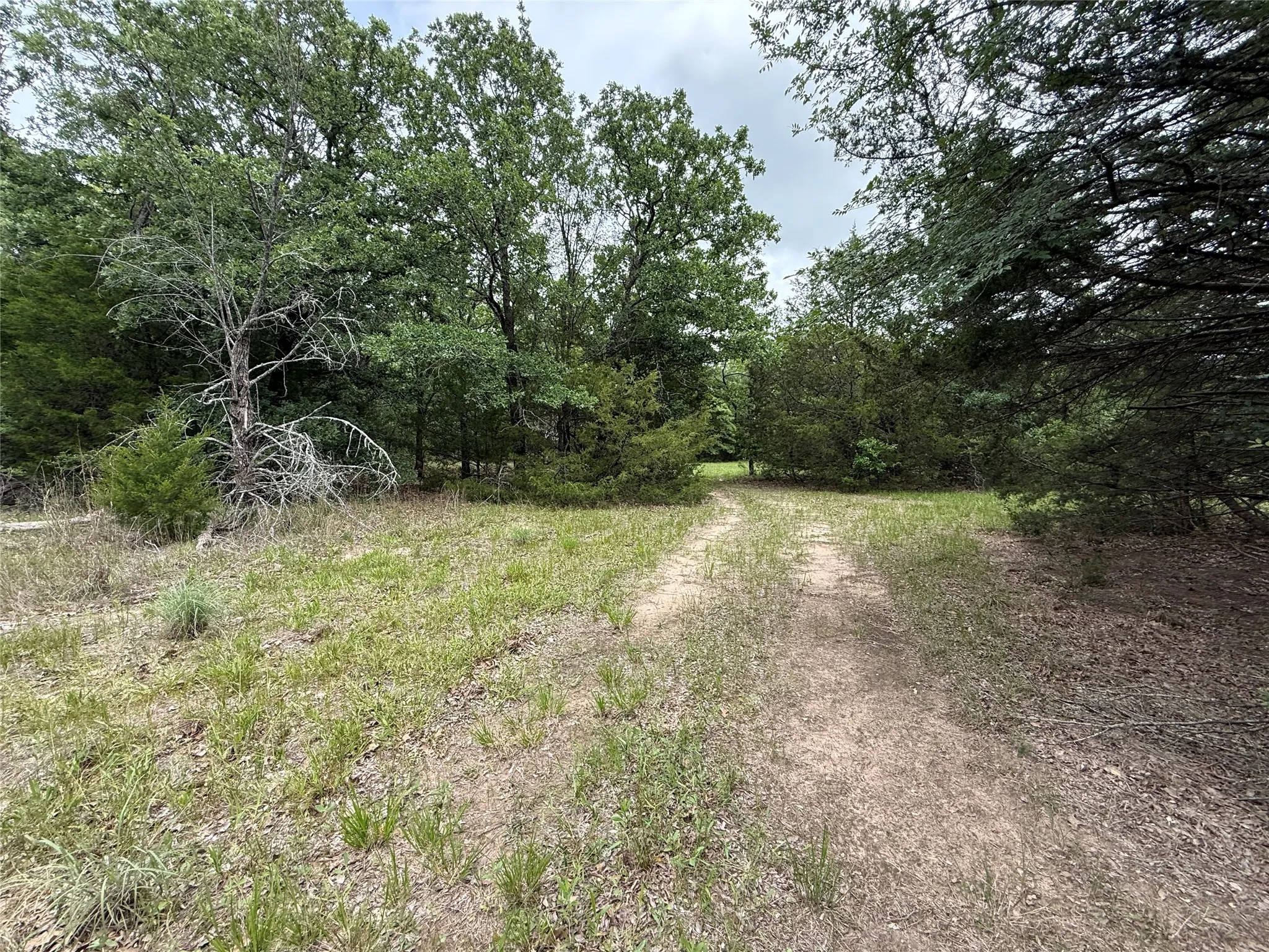 Unimproved Land For Sale in Navarro County , TBD 27 Acres FM 642, Purdon, Texas 76679, 0, 0, Garage spaces, 0 Sqft, built in 0, Price $240,000, mls#21257310, Real Estate Agent in Purdon, Homes For Sale in Navarro county, Homes For Sale in Purdon, Realtor in Purdon Texas, Real Estate Brokerage Independent Realty Texas, Luminita Cordes Realtor