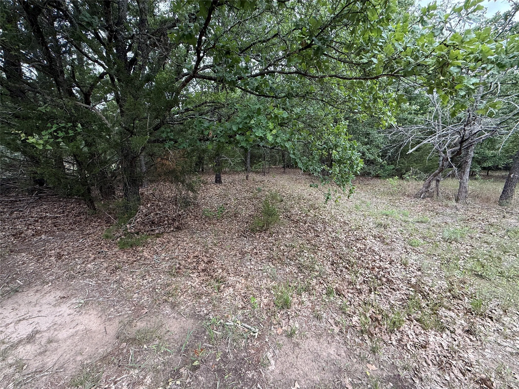 Unimproved Land For Sale in Navarro County , TBD 27 Acres FM 642, Purdon, Texas 76679, 0, 0, Garage spaces, 0 Sqft, built in 0, Price $240,000, mls#21257310, Real Estate Agent in Purdon, Homes For Sale in Navarro county, Homes For Sale in Purdon, Realtor in Purdon Texas, Real Estate Brokerage Independent Realty Texas, Luminita Cordes Realtor