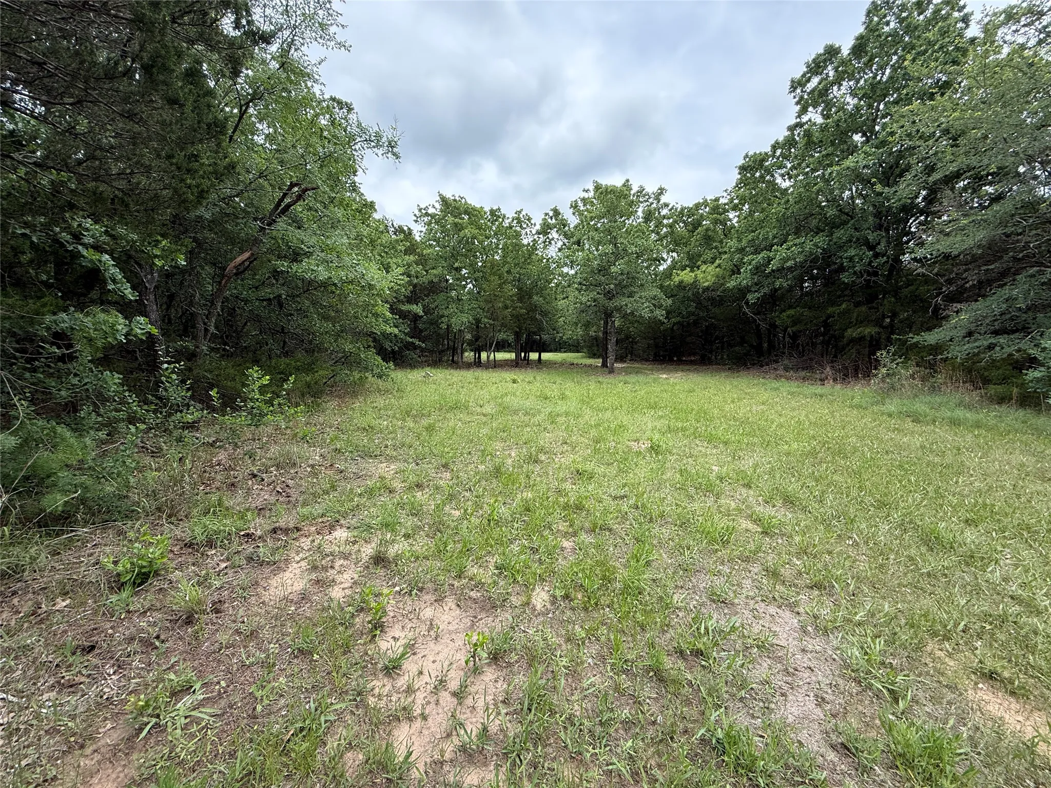 Unimproved Land For Sale in Navarro County , TBD 27 Acres FM 642, Purdon, Texas 76679, 0, 0, Garage spaces, 0 Sqft, built in 0, Price $240,000, mls#21257310, Real Estate Agent in Purdon, Homes For Sale in Navarro county, Homes For Sale in Purdon, Realtor in Purdon Texas, Real Estate Brokerage Independent Realty Texas, Luminita Cordes Realtor