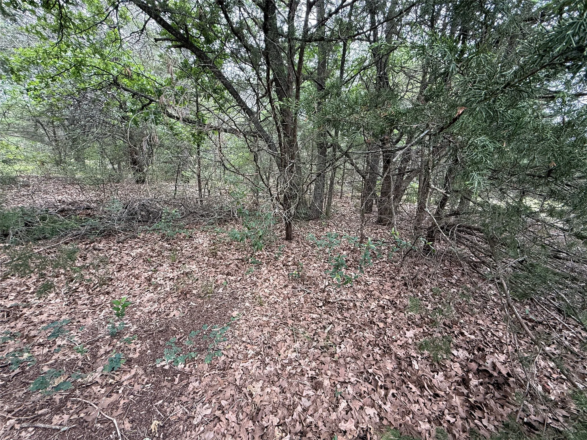 Unimproved Land For Sale in Navarro County , TBD 27 Acres FM 642, Purdon, Texas 76679, 0, 0, Garage spaces, 0 Sqft, built in 0, Price $240,000, mls#21257310, Real Estate Agent in Purdon, Homes For Sale in Navarro county, Homes For Sale in Purdon, Realtor in Purdon Texas, Real Estate Brokerage Independent Realty Texas, Luminita Cordes Realtor