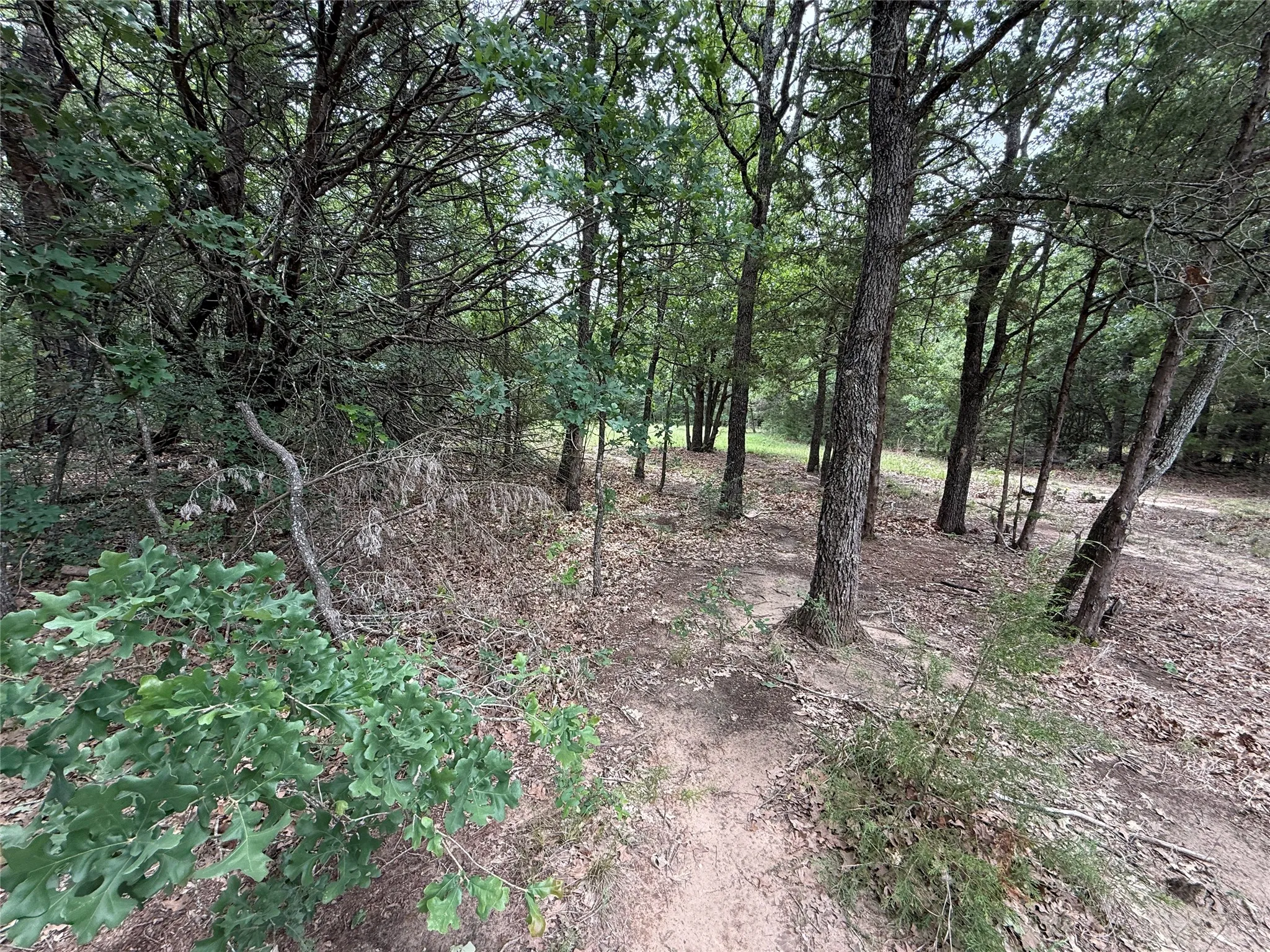 Unimproved Land For Sale in Navarro County , TBD 27 Acres FM 642, Purdon, Texas 76679, 0, 0, Garage spaces, 0 Sqft, built in 0, Price $240,000, mls#21257310, Real Estate Agent in Purdon, Homes For Sale in Navarro county, Homes For Sale in Purdon, Realtor in Purdon Texas, Real Estate Brokerage Independent Realty Texas, Luminita Cordes Realtor