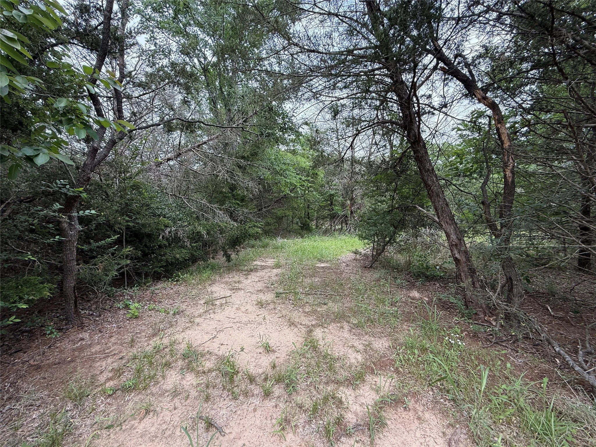 Unimproved Land For Sale in Navarro County , TBD 27 Acres FM 642, Purdon, Texas 76679, 0, 0, Garage spaces, 0 Sqft, built in 0, Price $240,000, mls#21257310, Real Estate Agent in Purdon, Homes For Sale in Navarro county, Homes For Sale in Purdon, Realtor in Purdon Texas, Real Estate Brokerage Independent Realty Texas, Luminita Cordes Realtor