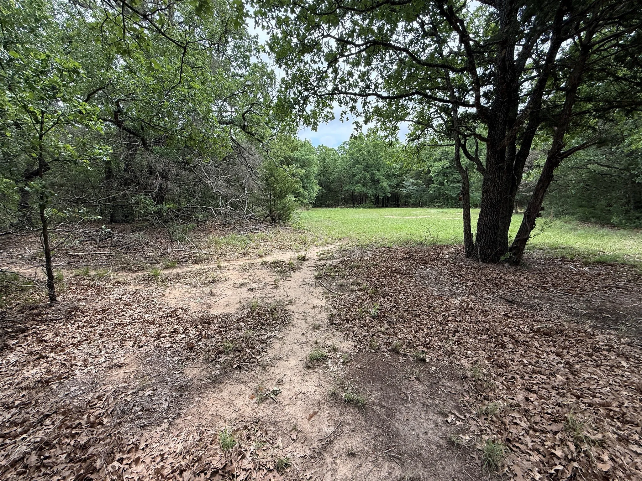 Unimproved Land For Sale in Navarro County , TBD 27 Acres FM 642, Purdon, Texas 76679, 0, 0, Garage spaces, 0 Sqft, built in 0, Price $240,000, mls#21257310, Real Estate Agent in Purdon, Homes For Sale in Navarro county, Homes For Sale in Purdon, Realtor in Purdon Texas, Real Estate Brokerage Independent Realty Texas, Luminita Cordes Realtor