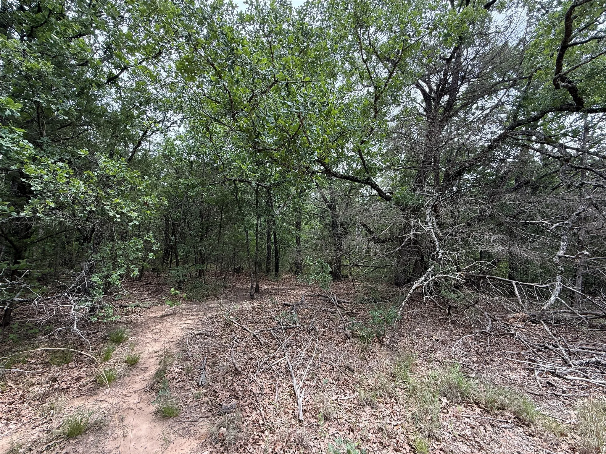 Unimproved Land For Sale in Navarro County , TBD 27 Acres FM 642, Purdon, Texas 76679, 0, 0, Garage spaces, 0 Sqft, built in 0, Price $240,000, mls#21257310, Real Estate Agent in Purdon, Homes For Sale in Navarro county, Homes For Sale in Purdon, Realtor in Purdon Texas, Real Estate Brokerage Independent Realty Texas, Luminita Cordes Realtor