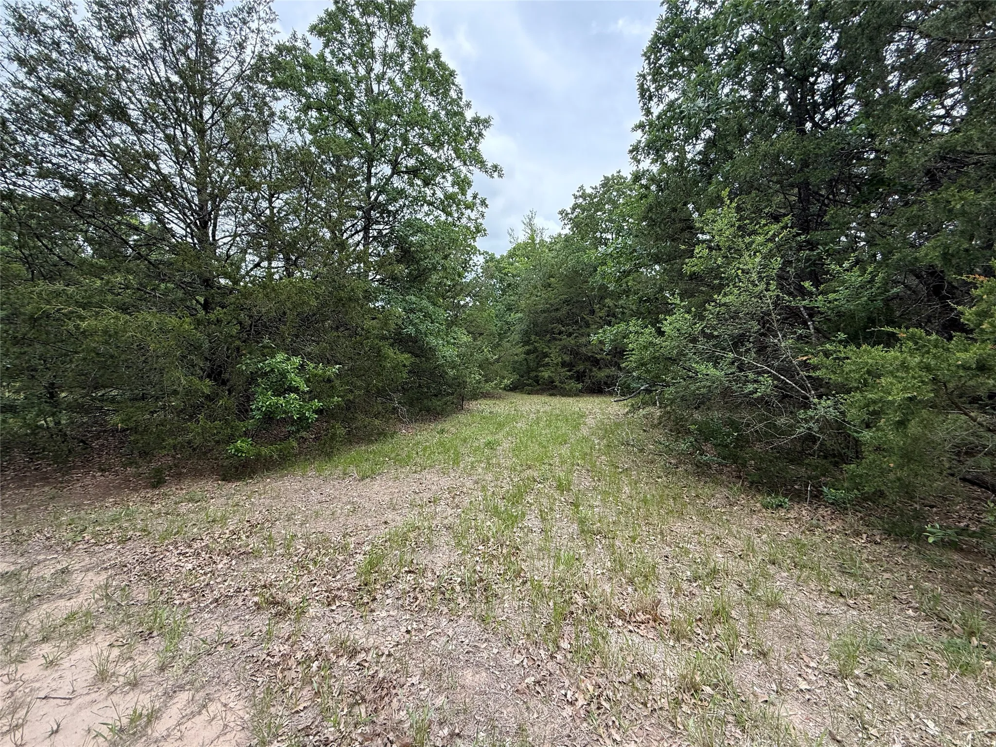 Unimproved Land For Sale in Navarro County , TBD 27 Acres FM 642, Purdon, Texas 76679, 0, 0, Garage spaces, 0 Sqft, built in 0, Price $240,000, mls#21257310, Real Estate Agent in Purdon, Homes For Sale in Navarro county, Homes For Sale in Purdon, Realtor in Purdon Texas, Real Estate Brokerage Independent Realty Texas, Luminita Cordes Realtor