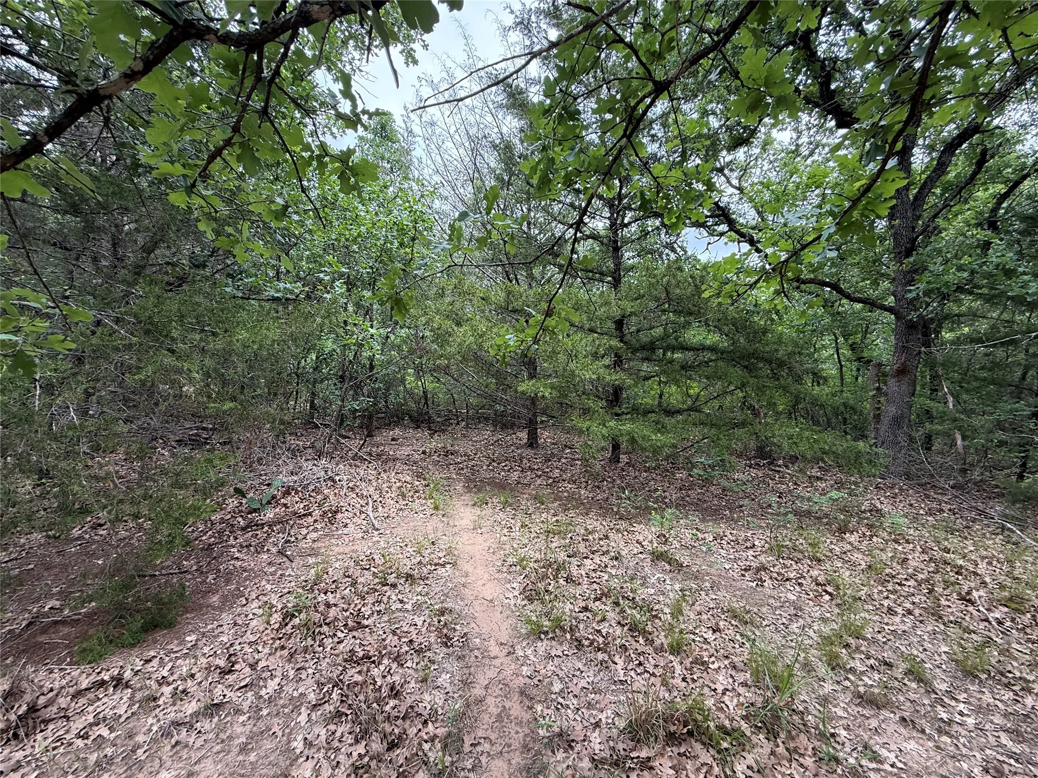 Unimproved Land For Sale in Navarro County , TBD 27 Acres FM 642, Purdon, Texas 76679, 0, 0, Garage spaces, 0 Sqft, built in 0, Price $240,000, mls#21257310, Real Estate Agent in Purdon, Homes For Sale in Navarro county, Homes For Sale in Purdon, Realtor in Purdon Texas, Real Estate Brokerage Independent Realty Texas, Luminita Cordes Realtor