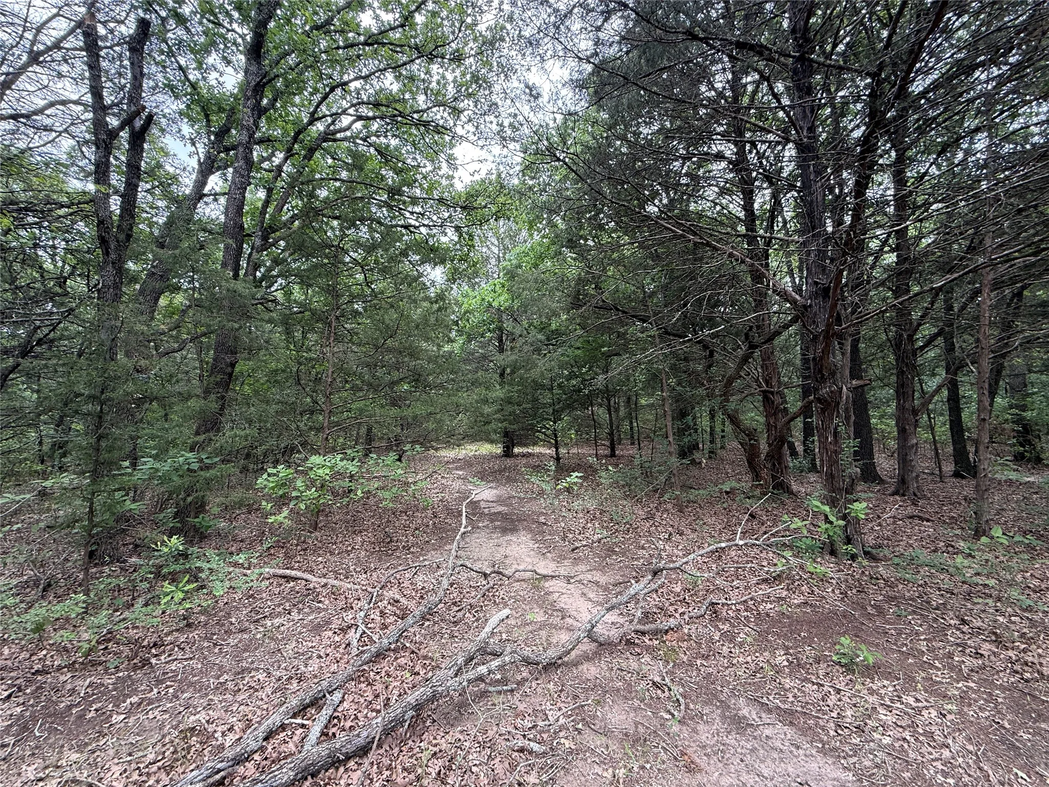 Unimproved Land For Sale in Navarro County , TBD 27 Acres FM 642, Purdon, Texas 76679, 0, 0, Garage spaces, 0 Sqft, built in 0, Price $240,000, mls#21257310, Real Estate Agent in Purdon, Homes For Sale in Navarro county, Homes For Sale in Purdon, Realtor in Purdon Texas, Real Estate Brokerage Independent Realty Texas, Luminita Cordes Realtor