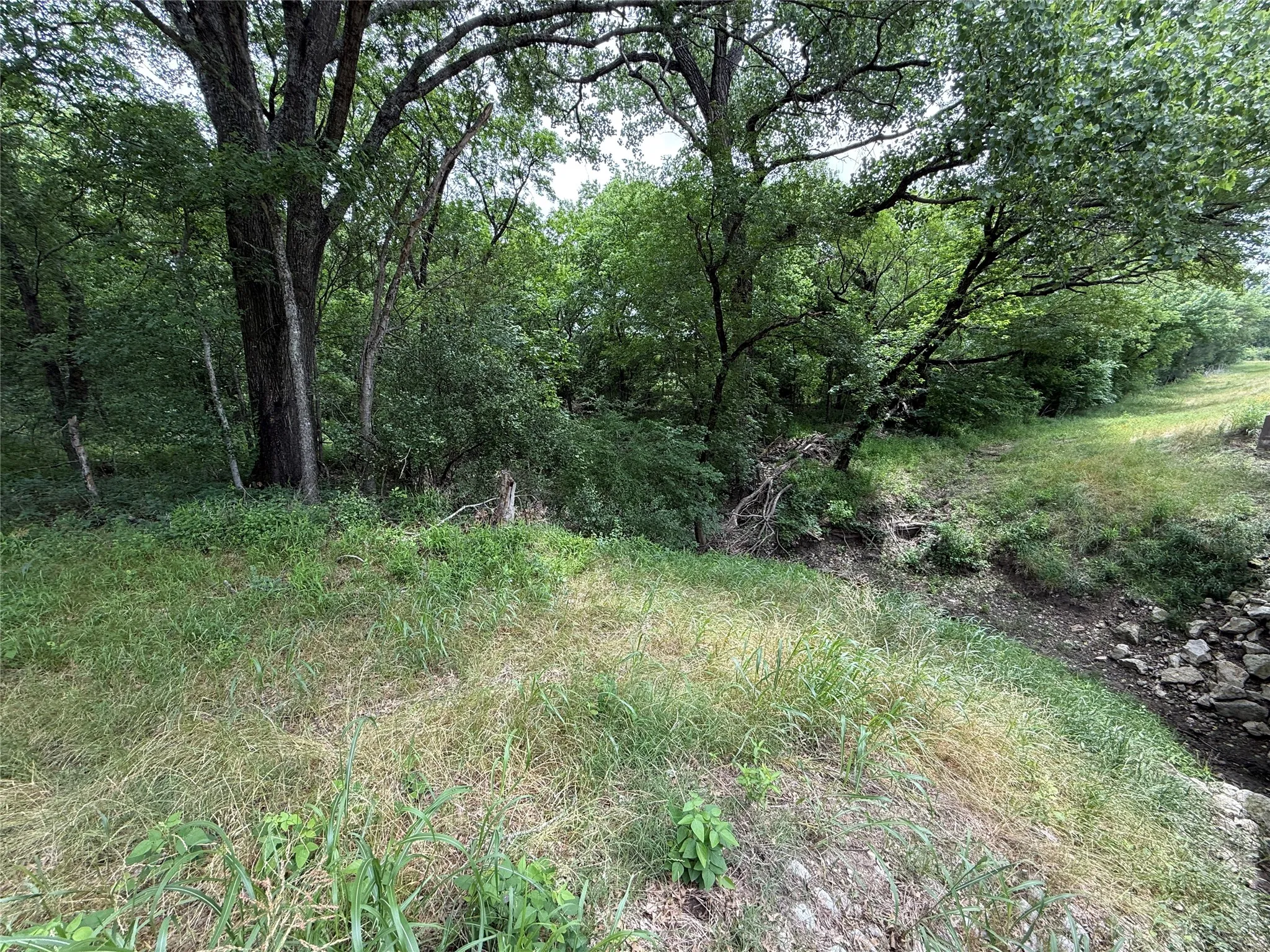 Unimproved Land For Sale in Navarro County , TBD 27 Acres FM 642, Purdon, Texas 76679, 0, 0, Garage spaces, 0 Sqft, built in 0, Price $240,000, mls#21257310, Real Estate Agent in Purdon, Homes For Sale in Navarro county, Homes For Sale in Purdon, Realtor in Purdon Texas, Real Estate Brokerage Independent Realty Texas, Luminita Cordes Realtor