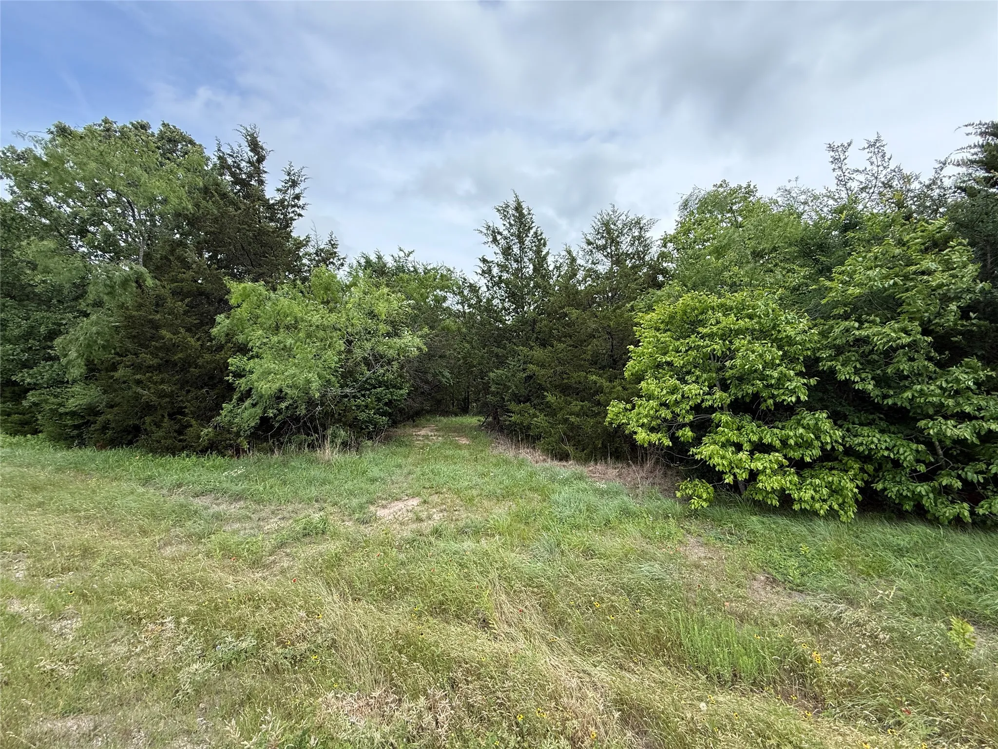 Unimproved Land For Sale in Navarro County , TBD 27 Acres FM 642, Purdon, Texas 76679, 0, 0, Garage spaces, 0 Sqft, built in 0, Price $240,000, mls#21257310, Real Estate Agent in Purdon, Homes For Sale in Navarro county, Homes For Sale in Purdon, Realtor in Purdon Texas, Real Estate Brokerage Independent Realty Texas, Luminita Cordes Realtor