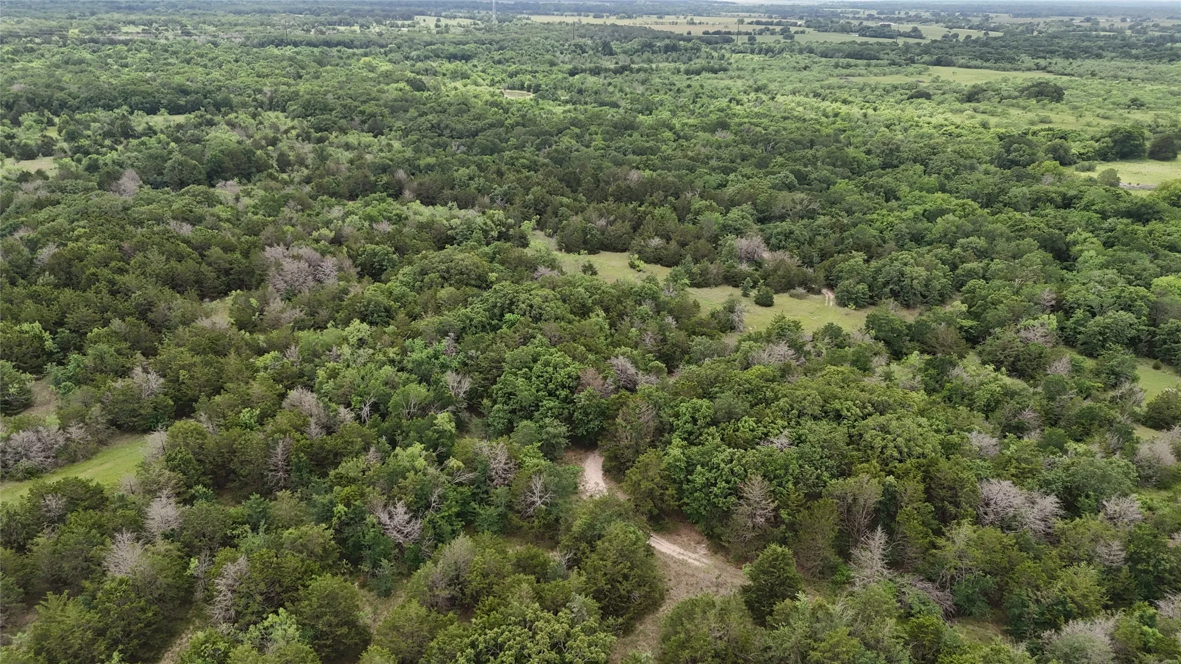 Unimproved Land For Sale in Navarro County , TBD 27 Acres FM 642, Purdon, Texas 76679, 0, 0, Garage spaces, 0 Sqft, built in 0, Price $240,000, mls#21257310, Real Estate Agent in Purdon, Homes For Sale in Navarro county, Homes For Sale in Purdon, Realtor in Purdon Texas, Real Estate Brokerage Independent Realty Texas, Luminita Cordes Realtor