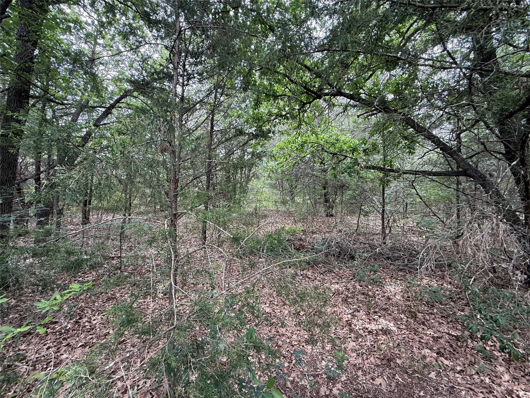 Unimproved Land For Sale in Navarro County , TBD 27 Acres FM 642, Purdon, Texas 76679, 0, 0, Garage spaces, 0 Sqft, built in 0, Price $240,000, mls#21257310, Real Estate Agent in Purdon, Homes For Sale in Navarro county, Homes For Sale in Purdon, Realtor in Purdon Texas, Real Estate Brokerage Independent Realty Texas, Luminita Cordes Realtor