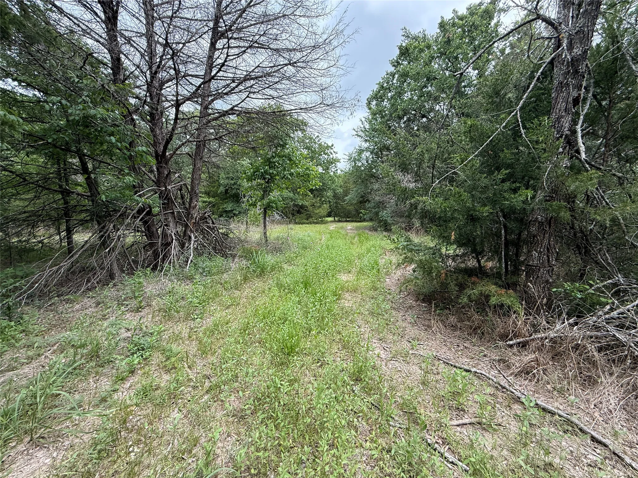 Unimproved Land For Sale in Navarro County , TBD 27 Acres FM 642, Purdon, Texas 76679, 0, 0, Garage spaces, 0 Sqft, built in 0, Price $240,000, mls#21257310, Real Estate Agent in Purdon, Homes For Sale in Navarro county, Homes For Sale in Purdon, Realtor in Purdon Texas, Real Estate Brokerage Independent Realty Texas, Luminita Cordes Realtor
