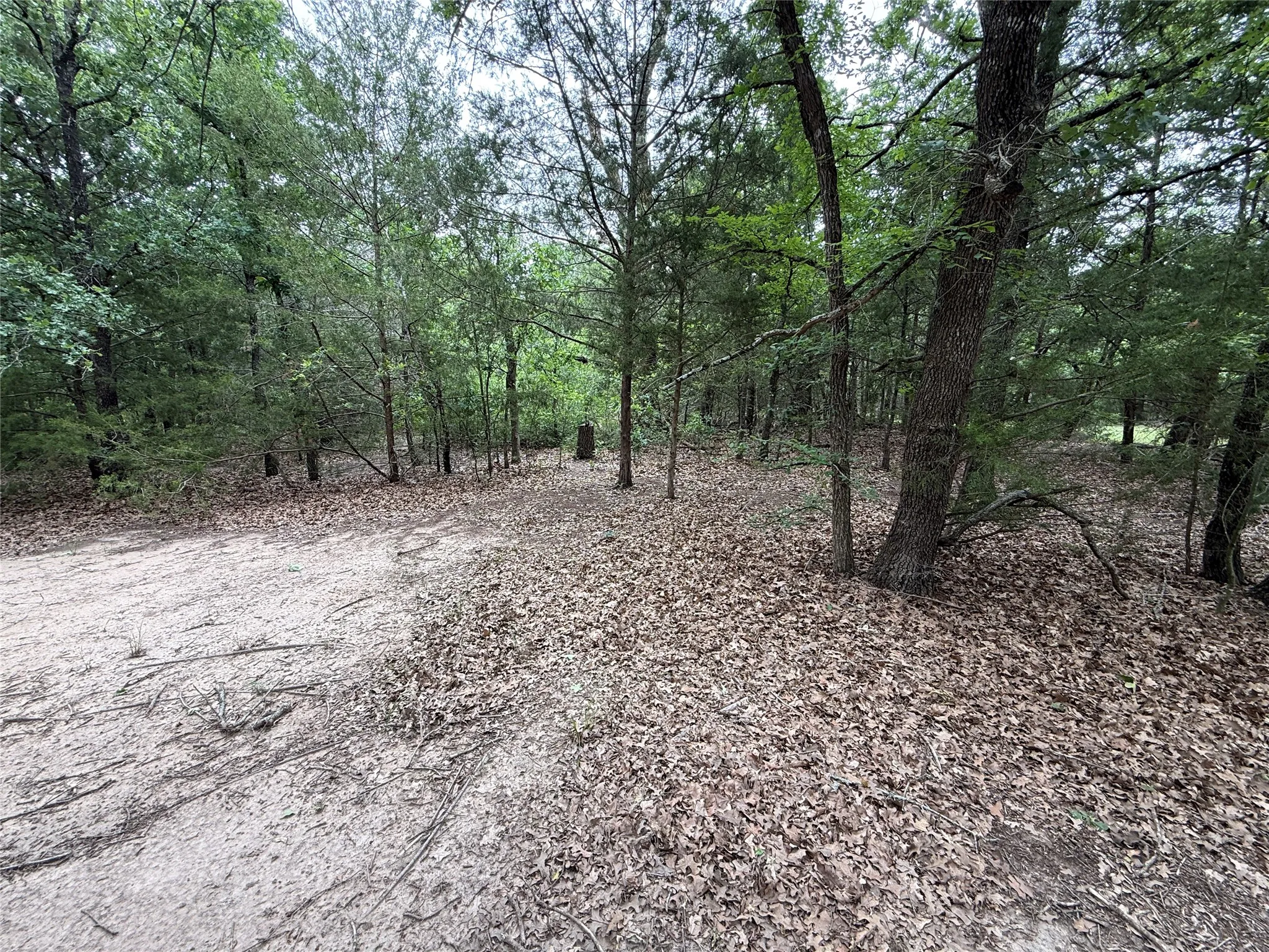 Unimproved Land For Sale in Navarro County , TBD 27 Acres FM 642, Purdon, Texas 76679, 0, 0, Garage spaces, 0 Sqft, built in 0, Price $240,000, mls#21257310, Real Estate Agent in Purdon, Homes For Sale in Navarro county, Homes For Sale in Purdon, Realtor in Purdon Texas, Real Estate Brokerage Independent Realty Texas, Luminita Cordes Realtor