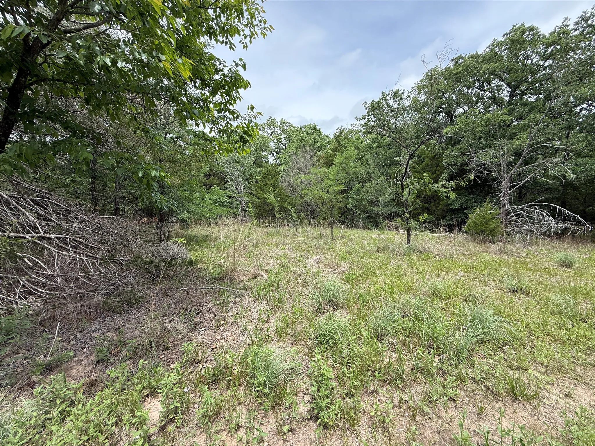 Unimproved Land For Sale in Navarro County , TBD 27 Acres FM 642, Purdon, Texas 76679, 0, 0, Garage spaces, 0 Sqft, built in 0, Price $240,000, mls#21257310, Real Estate Agent in Purdon, Homes For Sale in Navarro county, Homes For Sale in Purdon, Realtor in Purdon Texas, Real Estate Brokerage Independent Realty Texas, Luminita Cordes Realtor