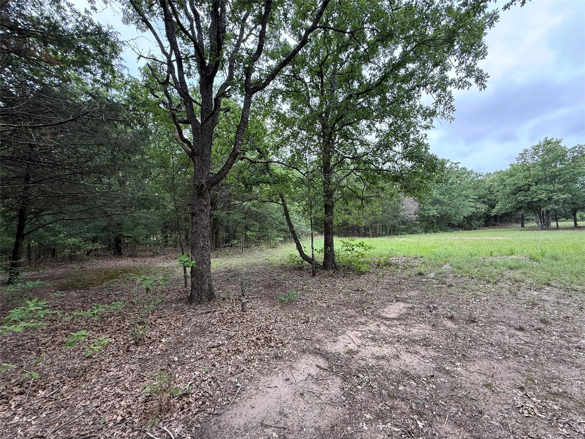 Unimproved Land For Sale in Navarro County , TBD 27 Acres FM 642, Purdon, Texas 76679, 0, 0, Garage spaces, 0 Sqft, built in 0, Price $240,000, mls#21257310, Real Estate Agent in Purdon, Homes For Sale in Navarro county, Homes For Sale in Purdon, Realtor in Purdon Texas, Real Estate Brokerage Independent Realty Texas, Luminita Cordes Realtor