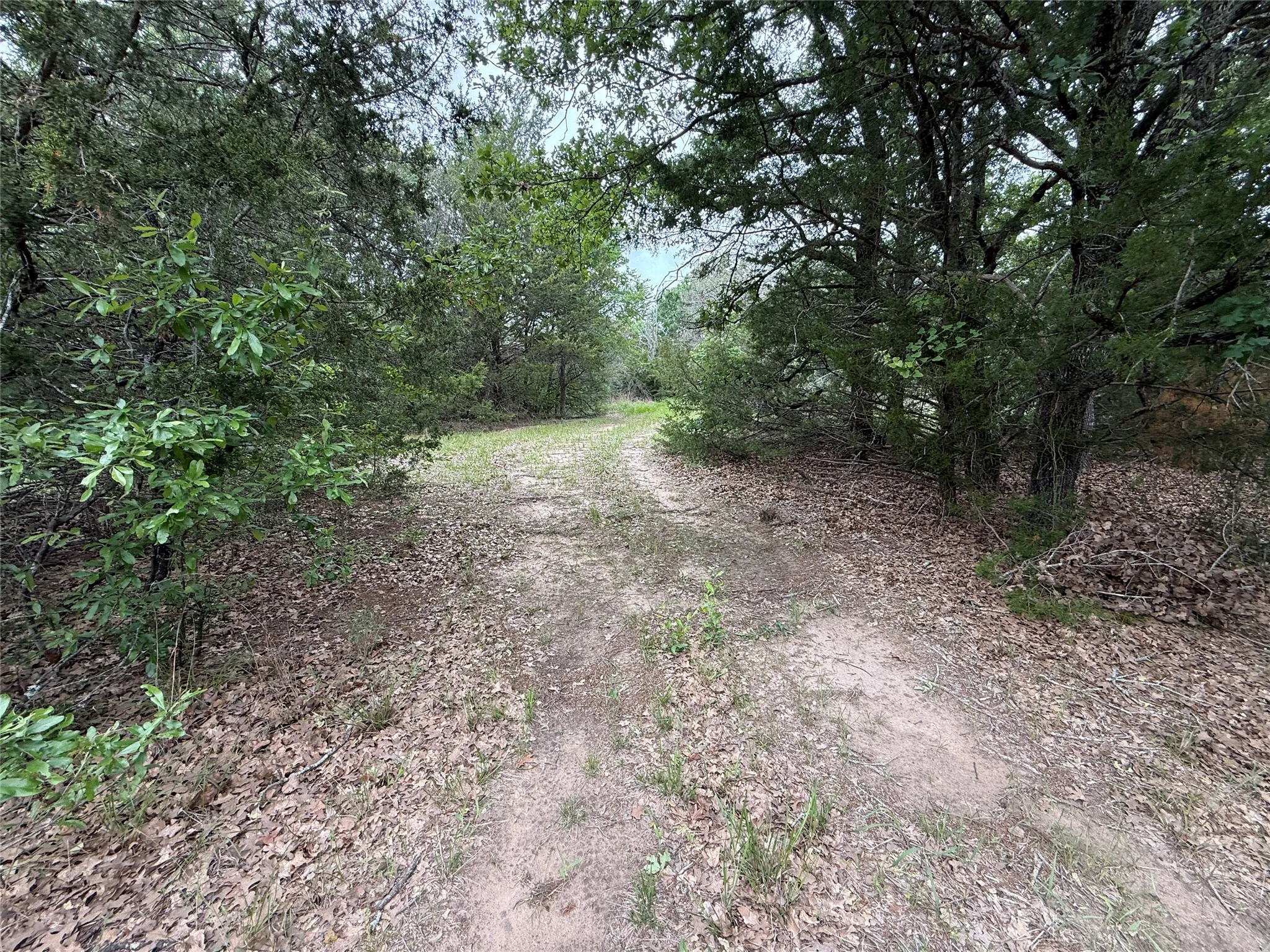 Unimproved Land For Sale in Navarro County , TBD 27 Acres FM 642, Purdon, Texas 76679, 0, 0, Garage spaces, 0 Sqft, built in 0, Price $240,000, mls#21257310, Real Estate Agent in Purdon, Homes For Sale in Navarro county, Homes For Sale in Purdon, Realtor in Purdon Texas, Real Estate Brokerage Independent Realty Texas, Luminita Cordes Realtor