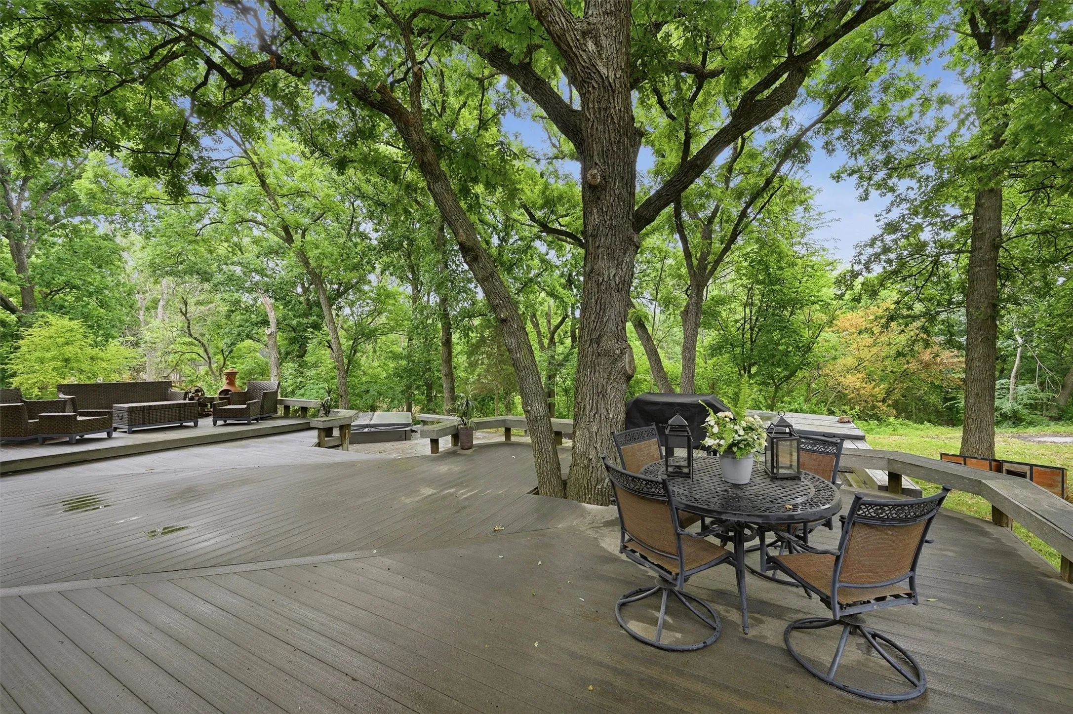 back yard living
