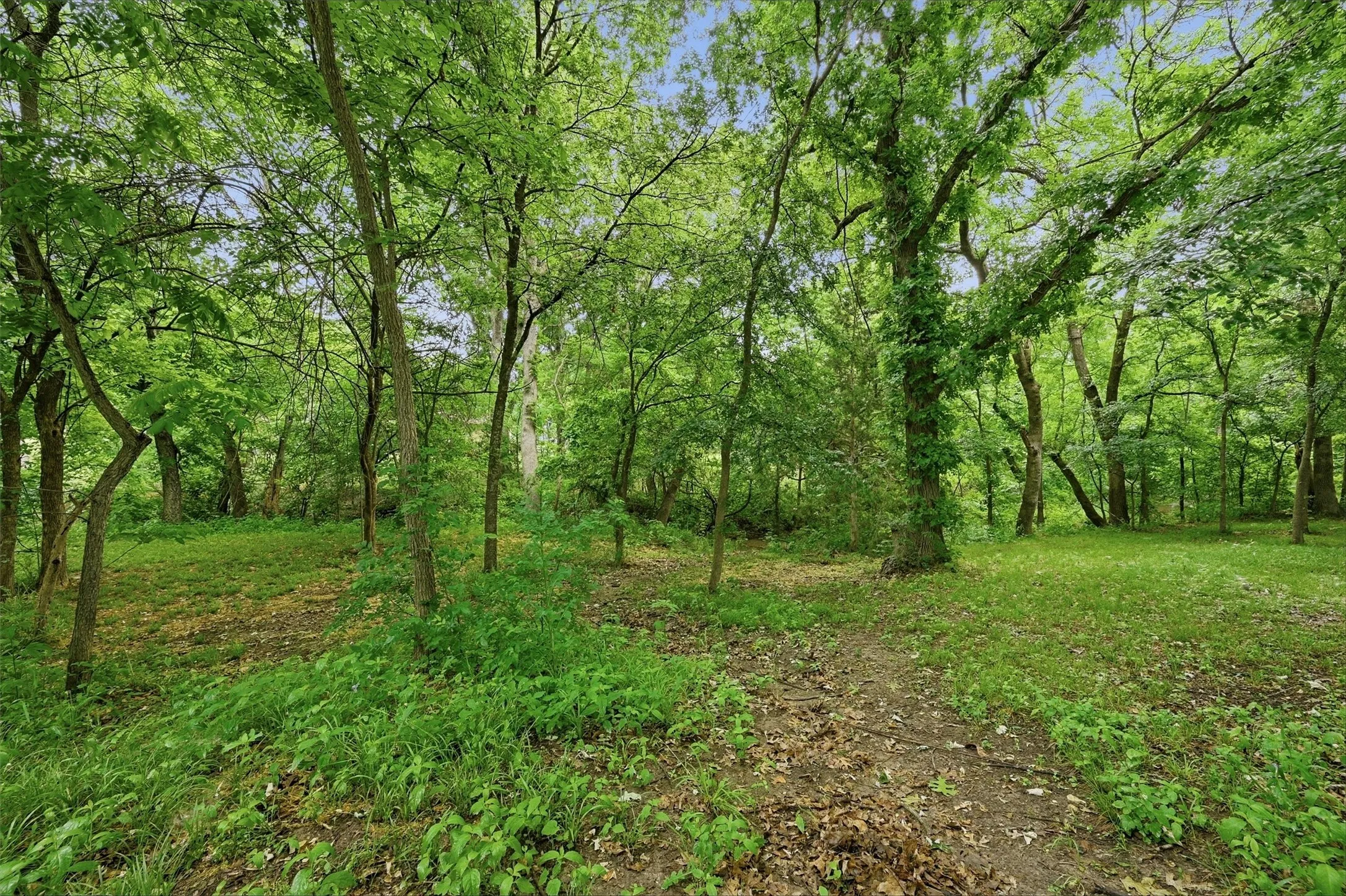 Single Family Residence For Sale in Grayson County , 31 Forest Hills Circle, Gunter, Texas 75058, 3 Bedroom, 3 Bathroom, 3 Garage spaces, 2,776 Sqft, built in 1999, Preowned, mls#21252923, Real Estate Agent in Gunter, Homes For Sale in Grayson county, Homes For Sale in Gunter, Realtor in Gunter Texas, Real Estate Brokerage Independent Realty Texas, Luminita Cordes Realtor