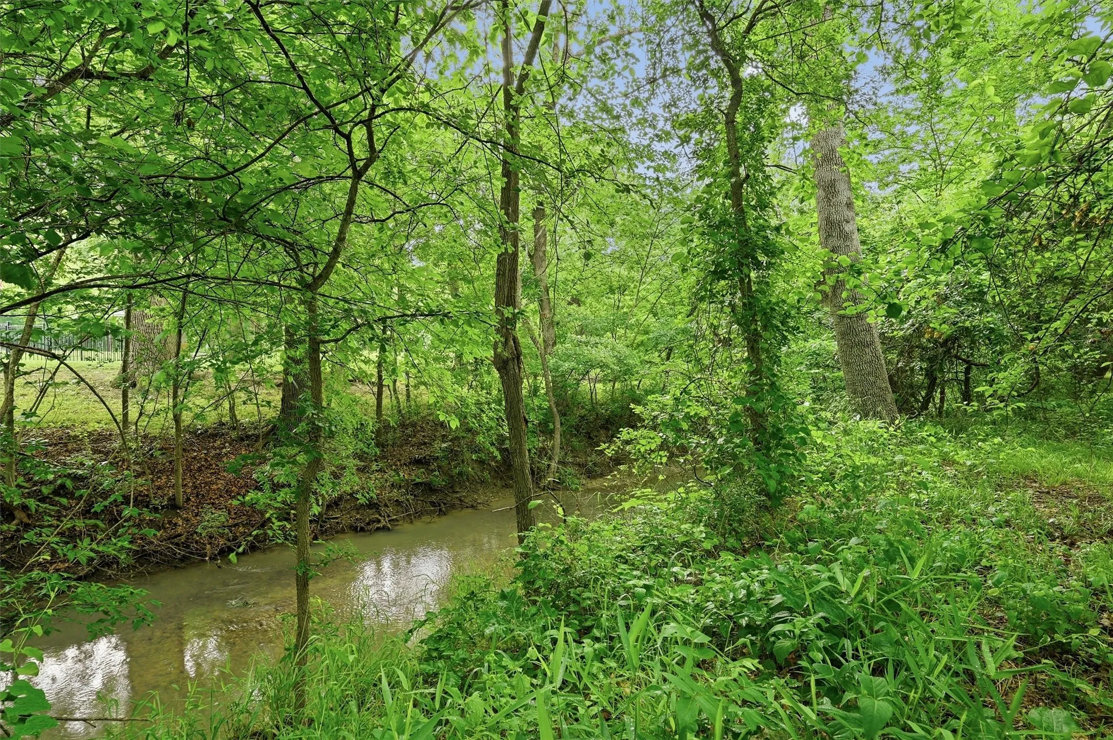Creek at the back of the property