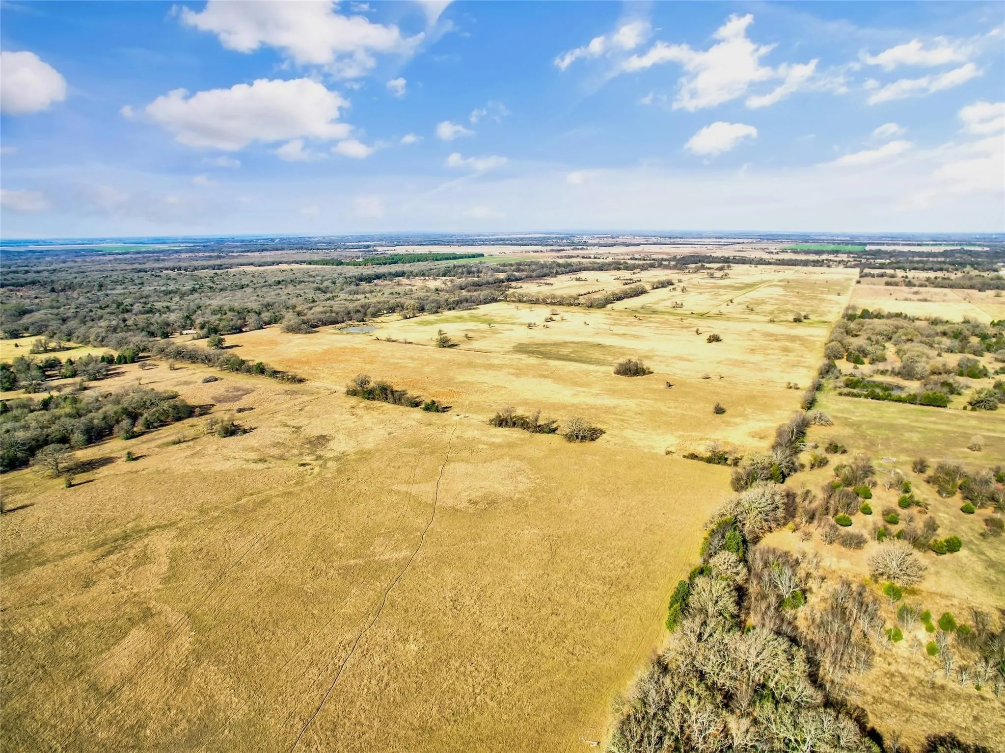 Ranch For Sale in Navarro County , 0000 SE CR 4210, Kerens, Texas 75144, 0, 0, Garage spaces, 0 Sqft, built in 0, Price $2,600,000, mls#21261129, Real Estate Agent in Kerens, Homes For Sale in Navarro county, Homes For Sale in Kerens, Realtor in Kerens Texas, Real Estate Brokerage Independent Realty Texas, Luminita Cordes Realtor
